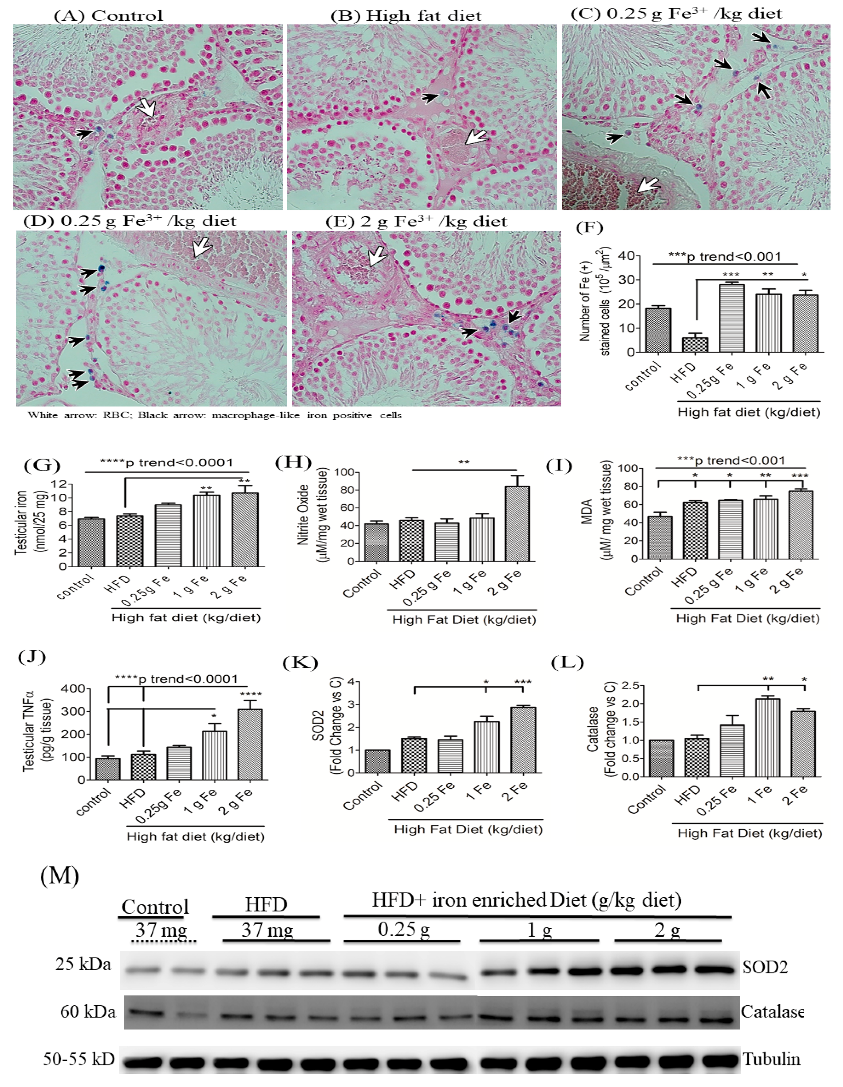 Antioxidants 09 00261 g005