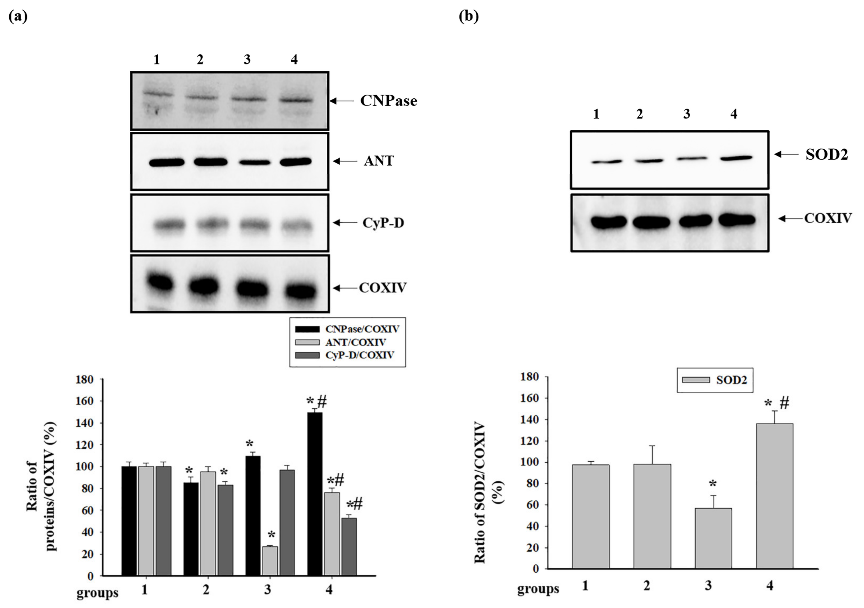 Antioxidants 09 00262 g004
