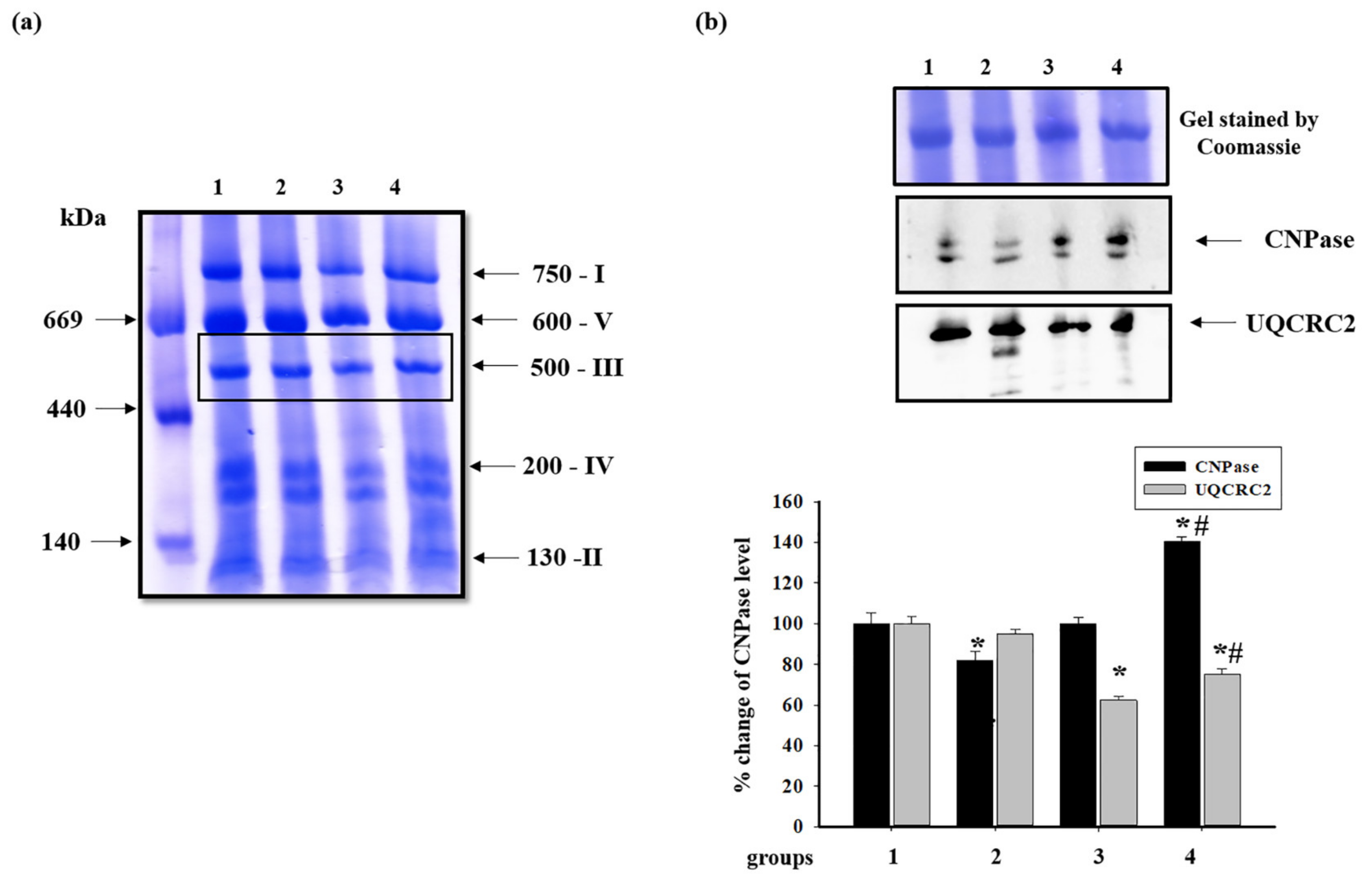 Antioxidants 09 00262 g008