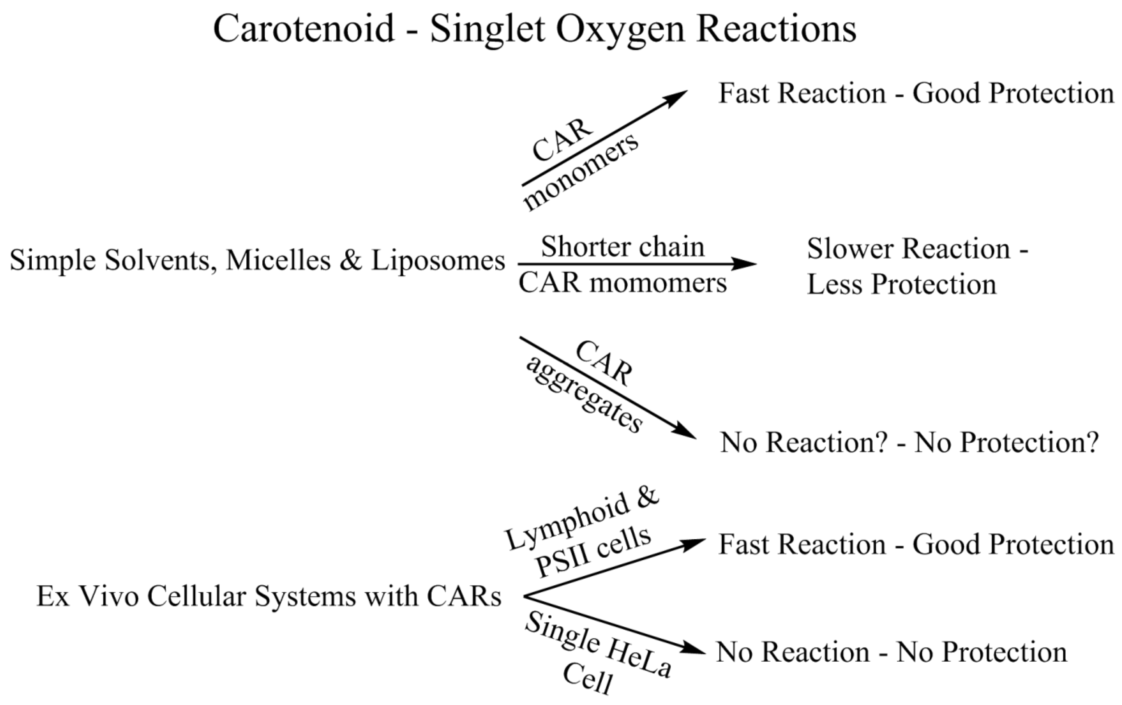 Antioxidants 09 00264 g005