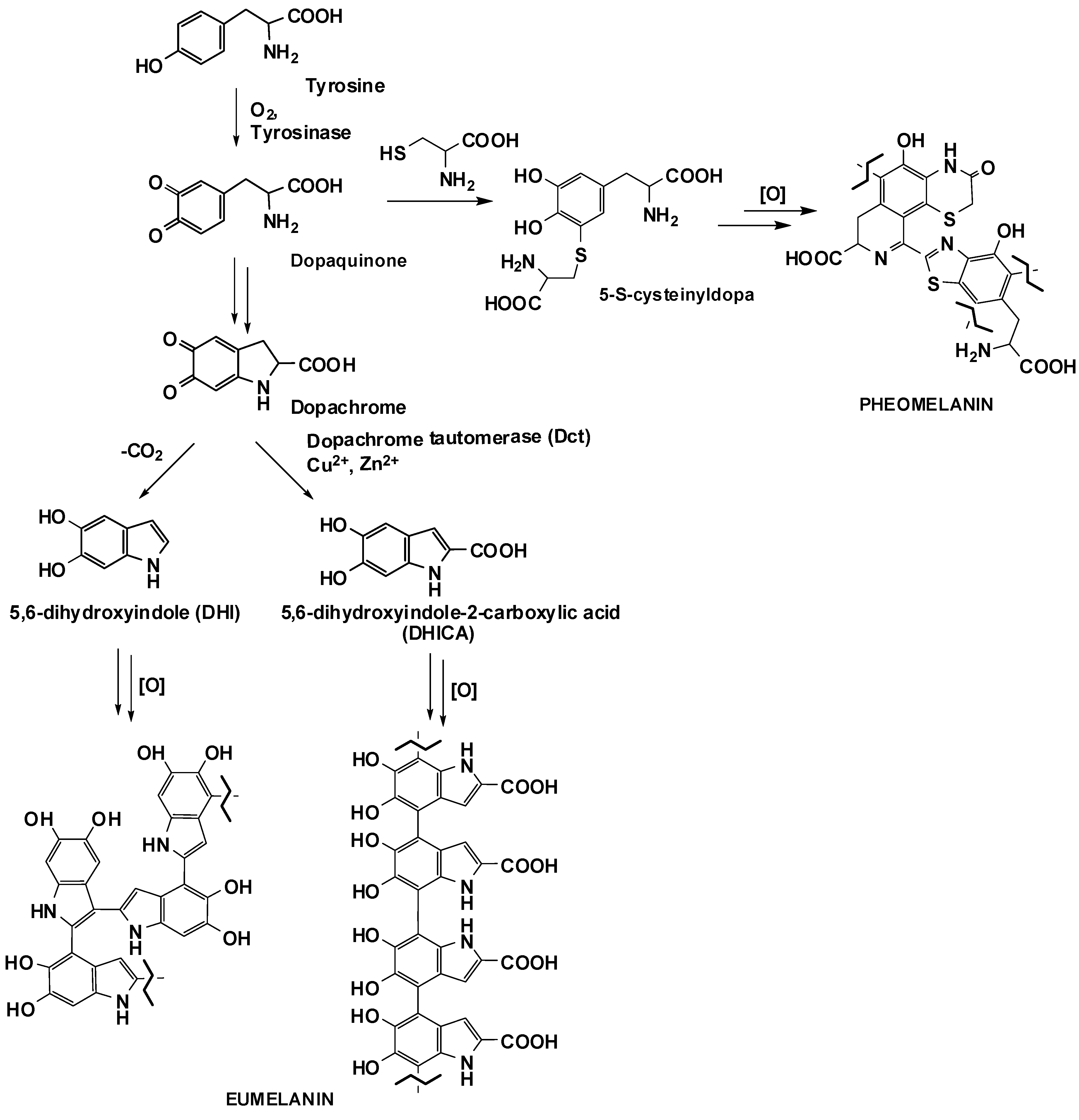 Antioxidants 09 00270 g001