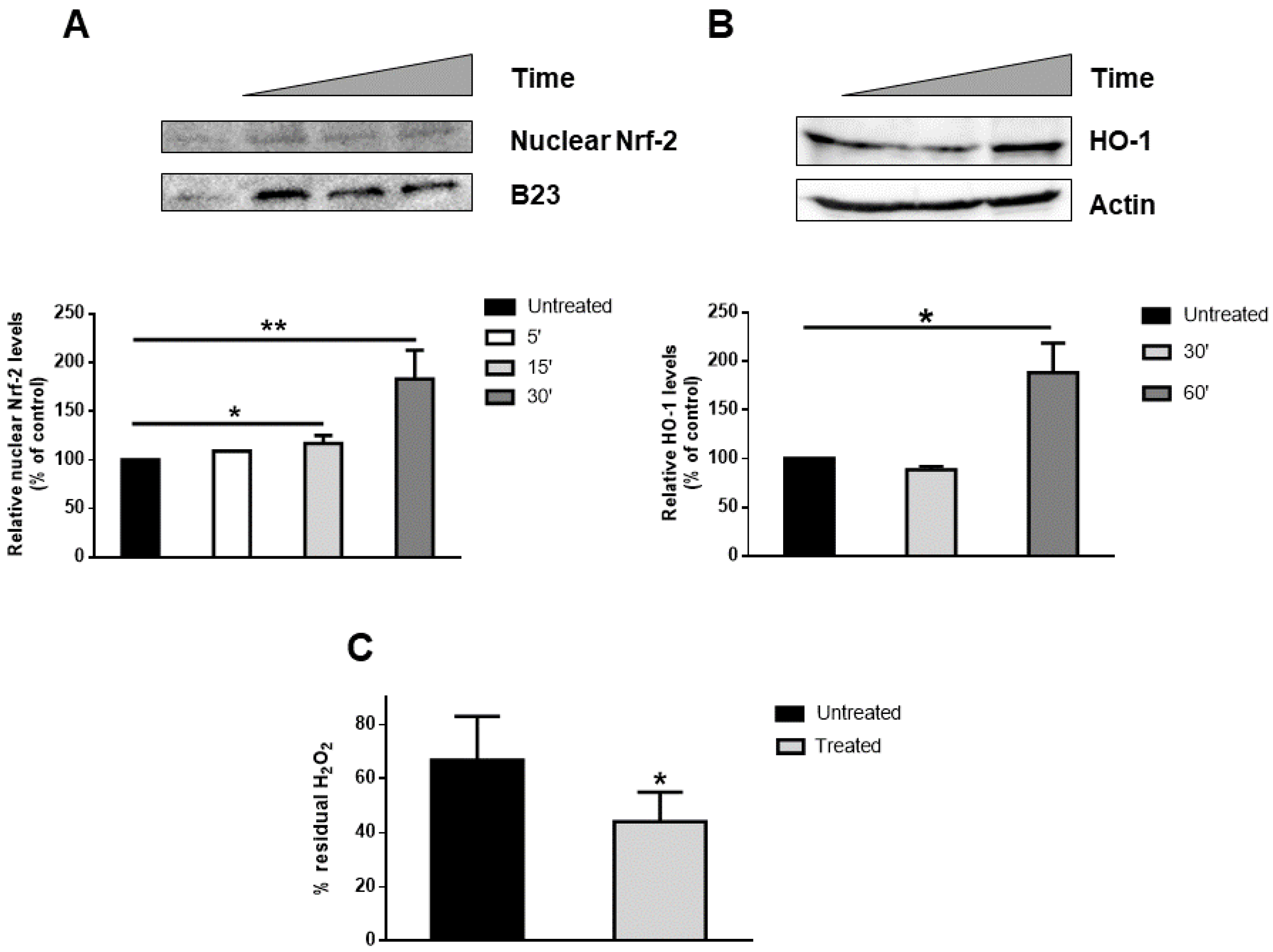 Antioxidants 09 00270 g005