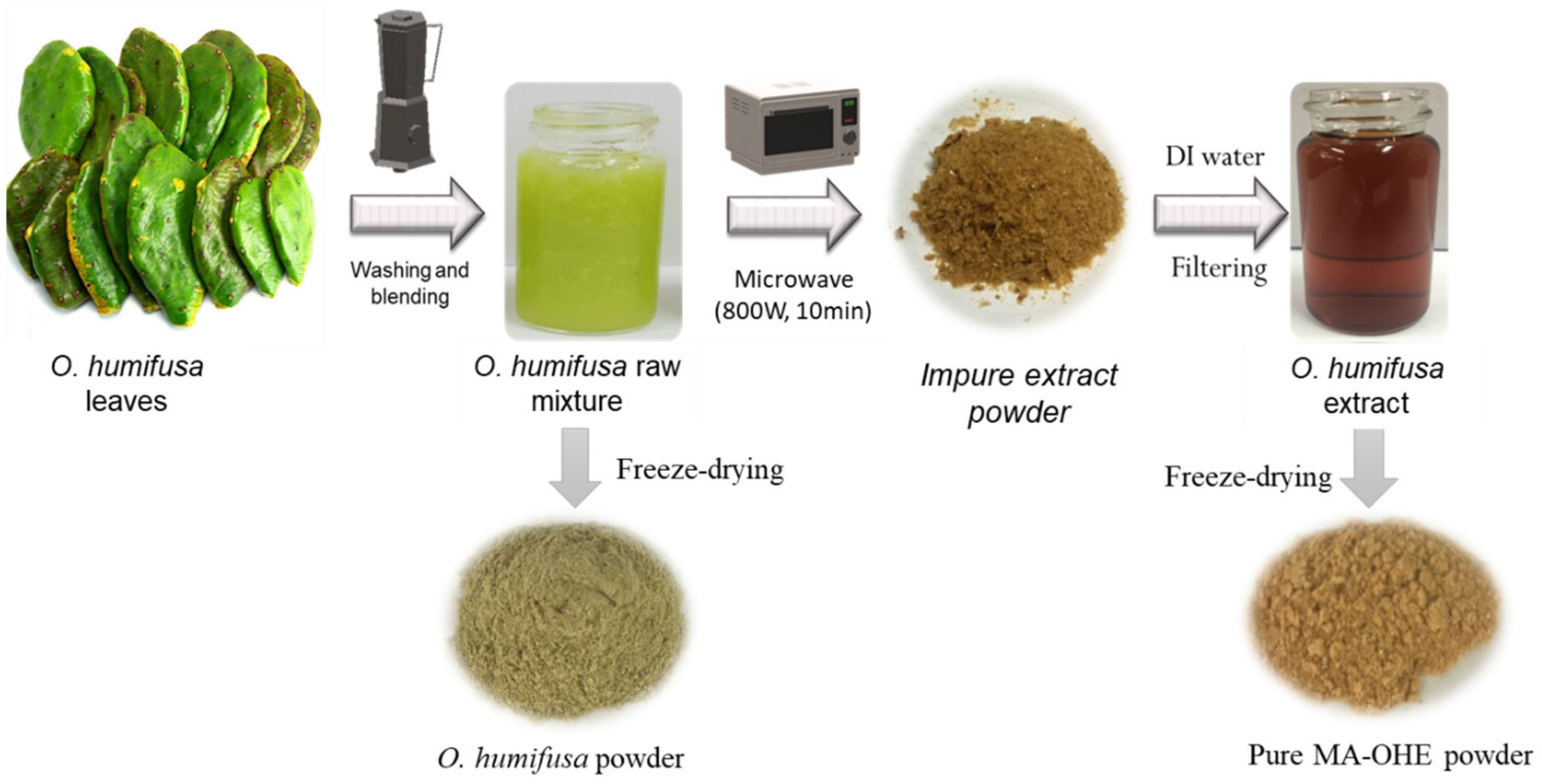 Antioxidants 09 00271 g001