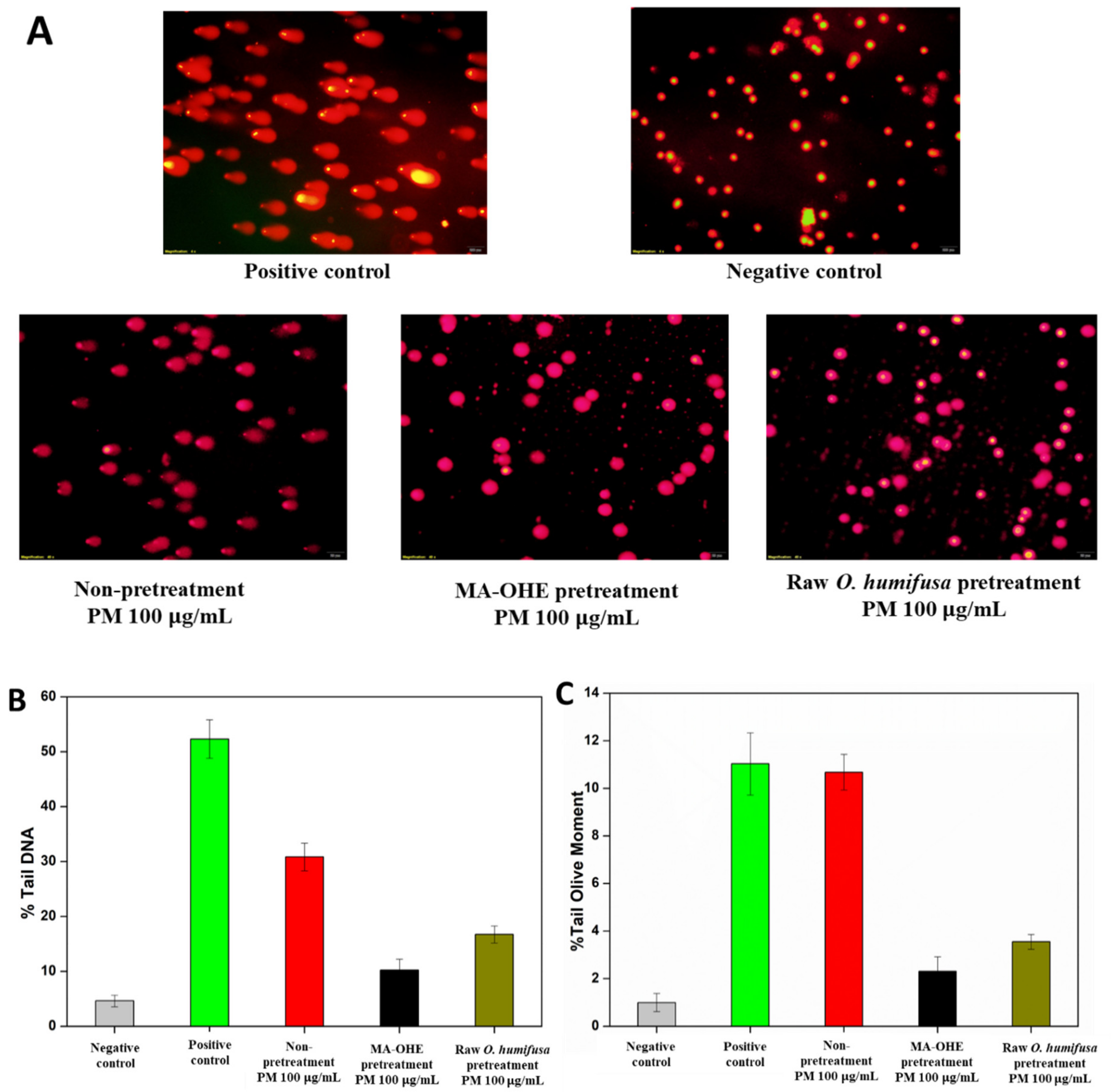Antioxidants 09 00271 g006