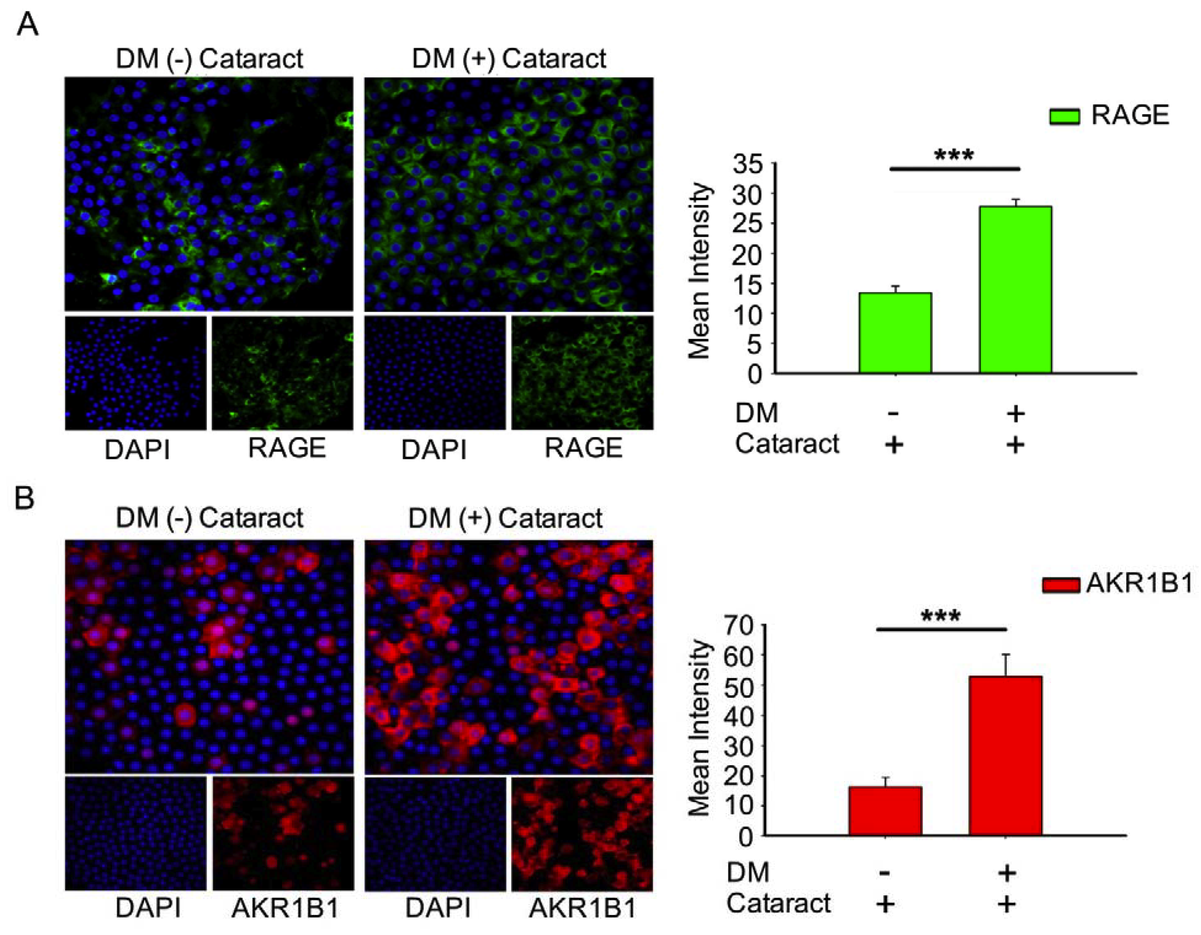 Antioxidants 09 00273 g002