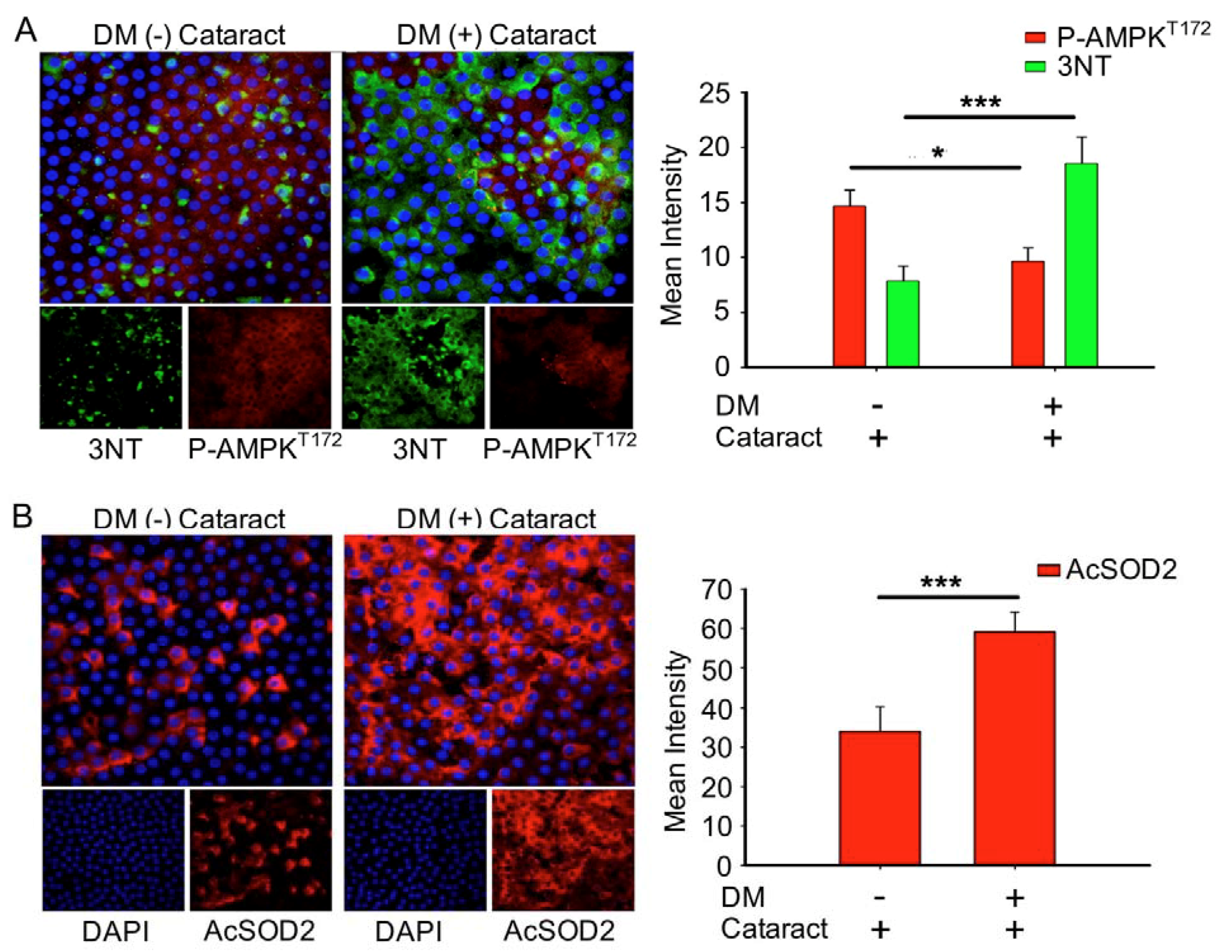Antioxidants 09 00273 g003