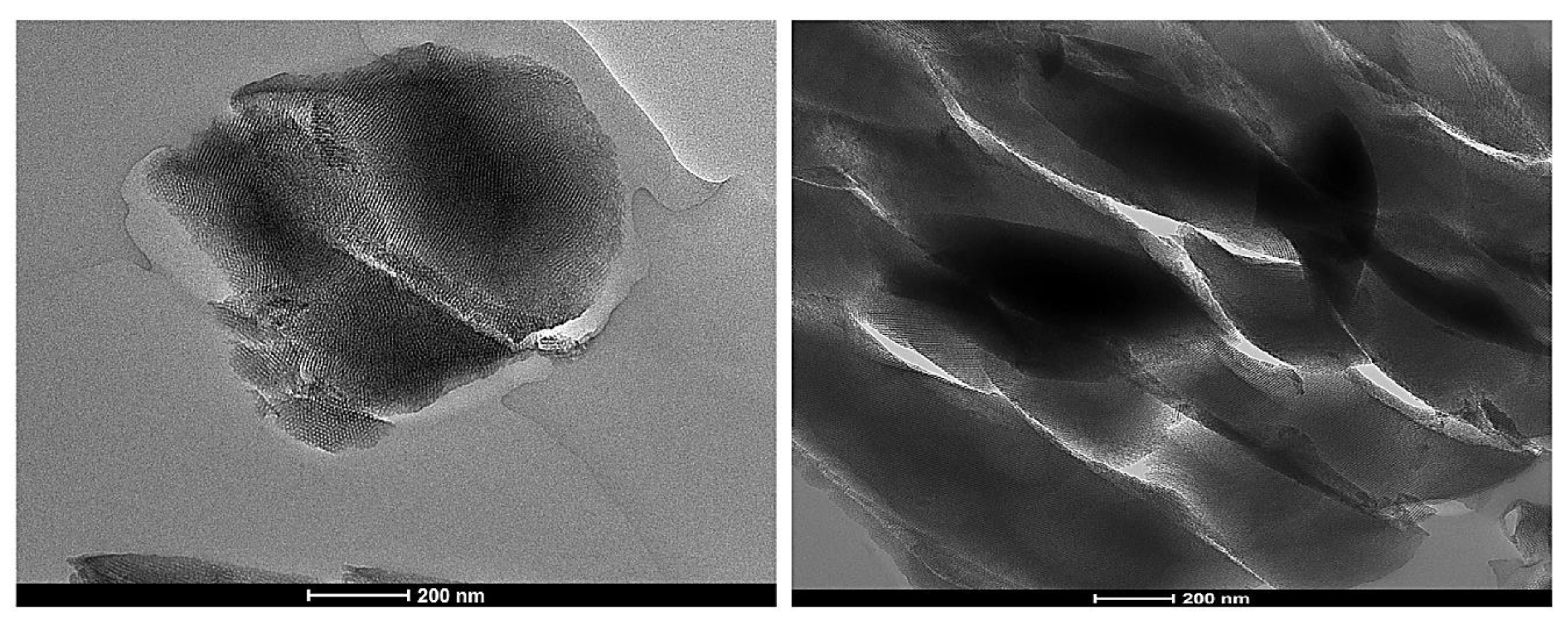 Antioxidants 09 00278 g011