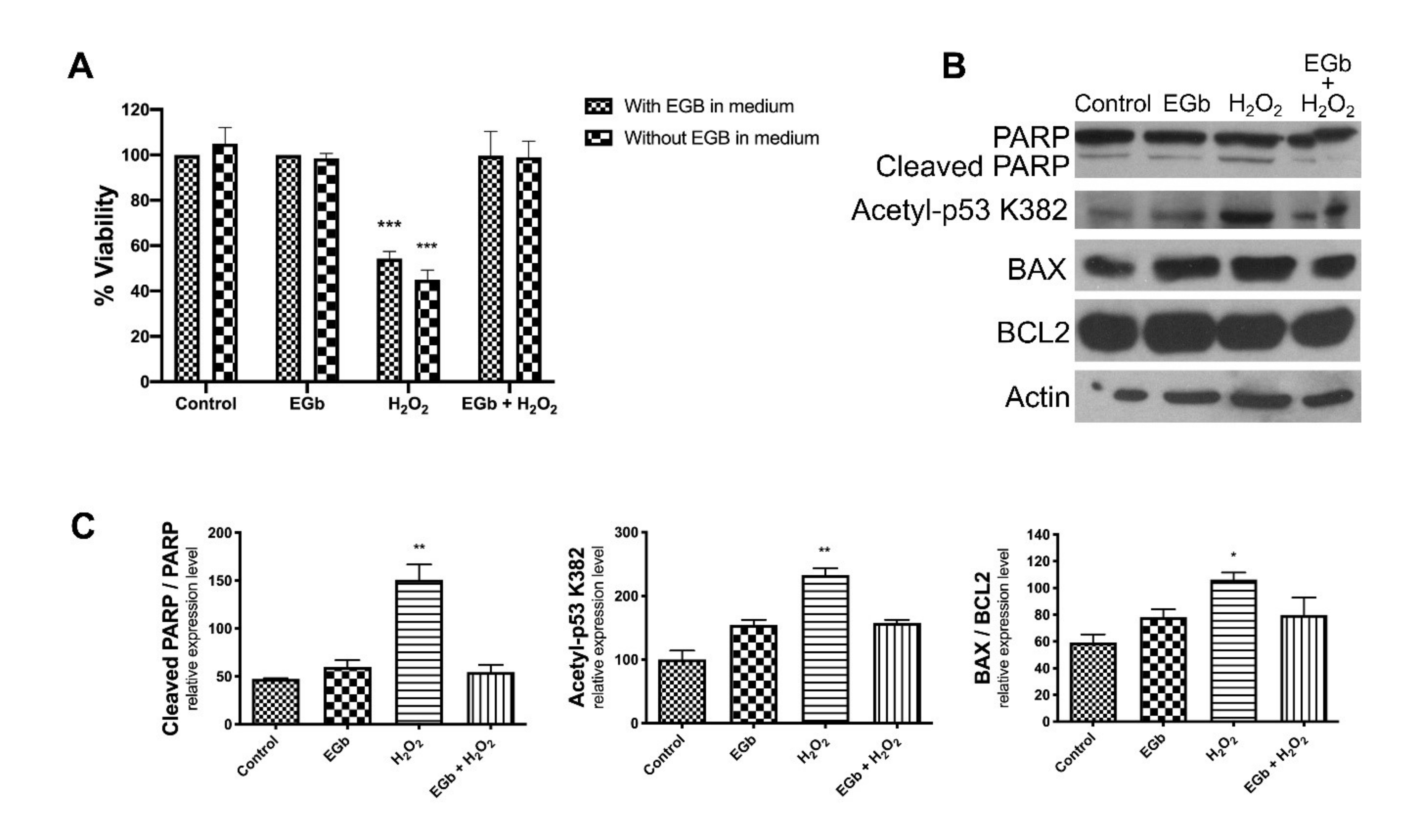 Antioxidants 09 00279 g005