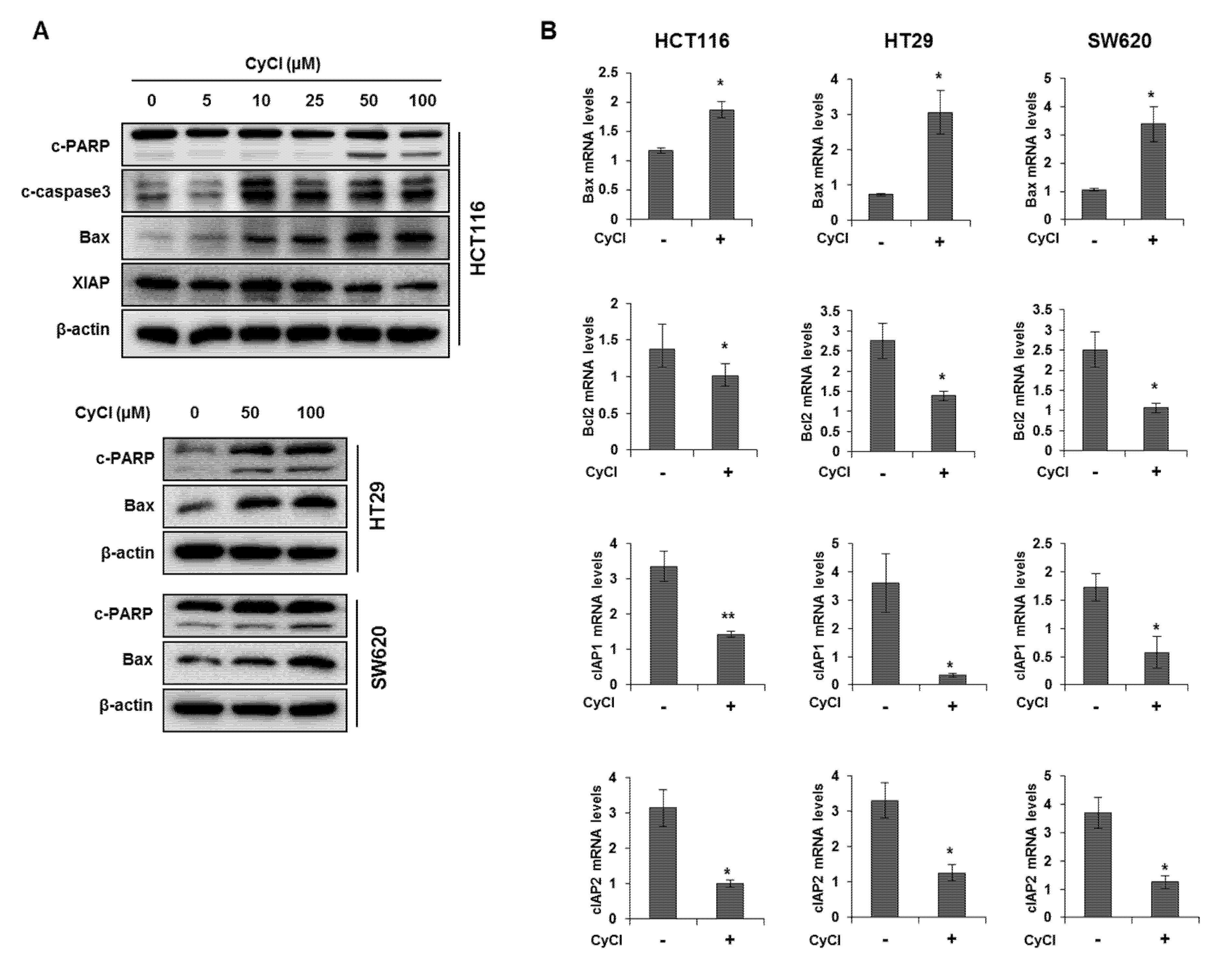 Antioxidants 09 00285 g003