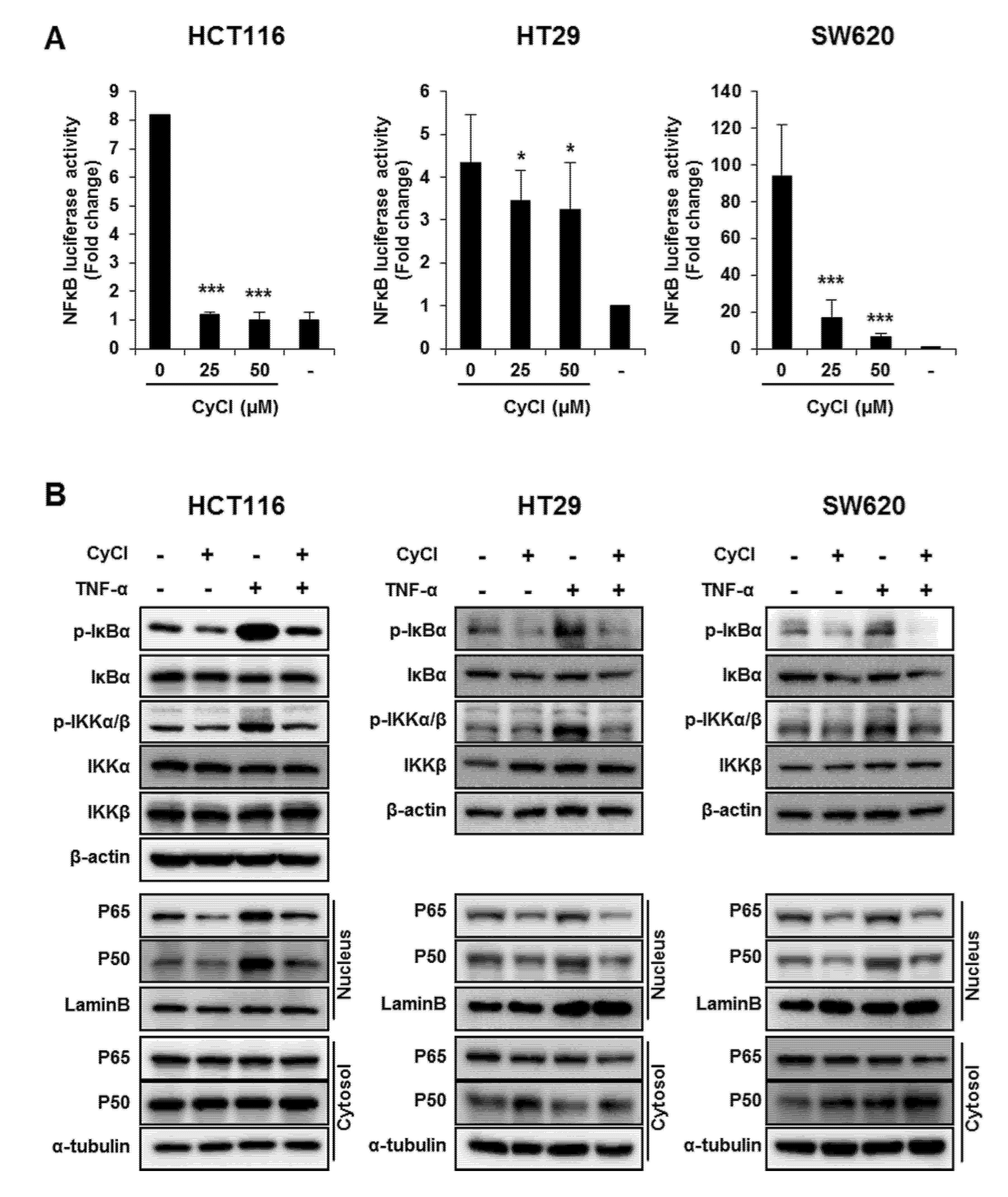 Antioxidants 09 00285 g004a