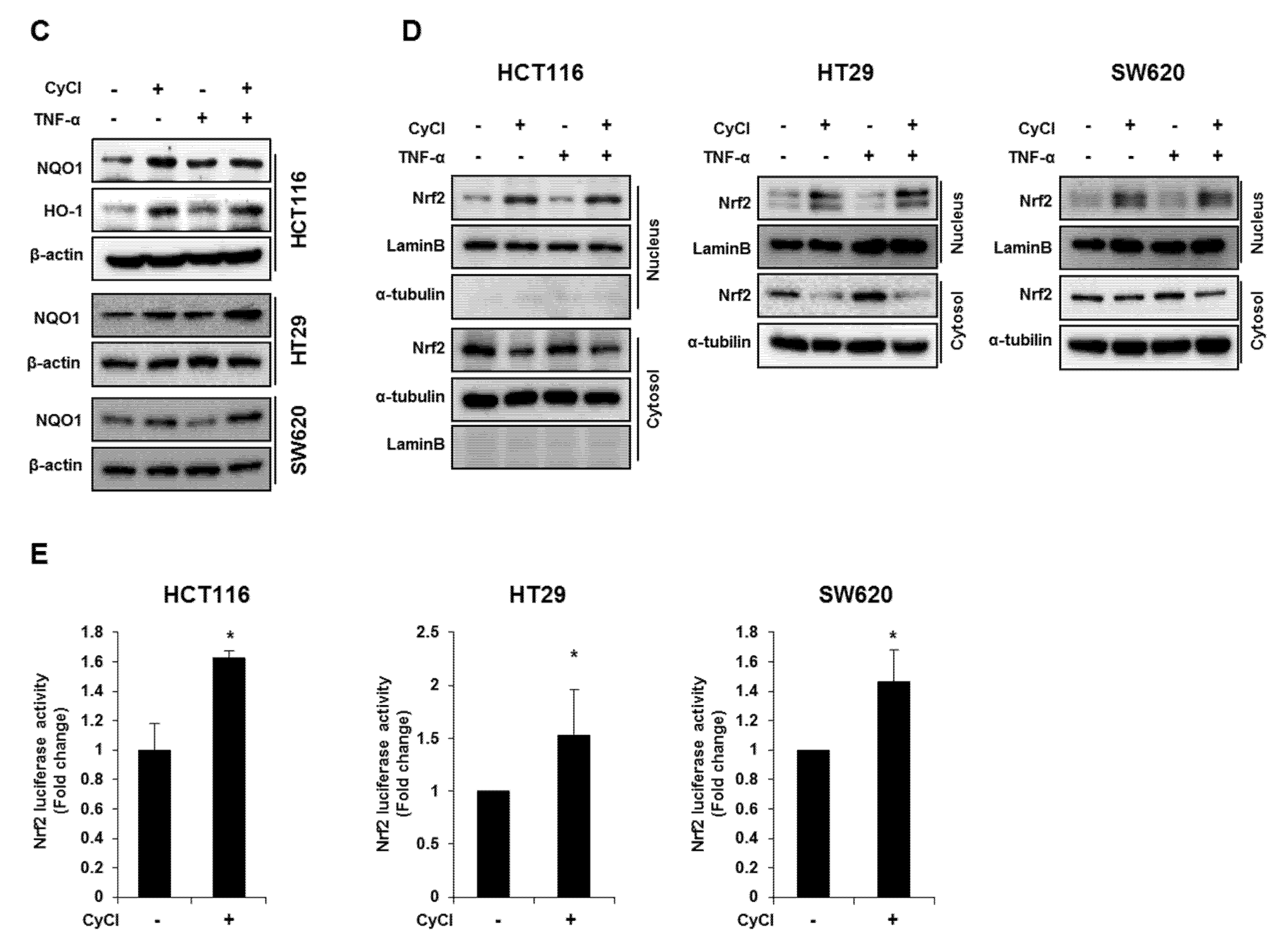 Antioxidants 09 00285 g005b