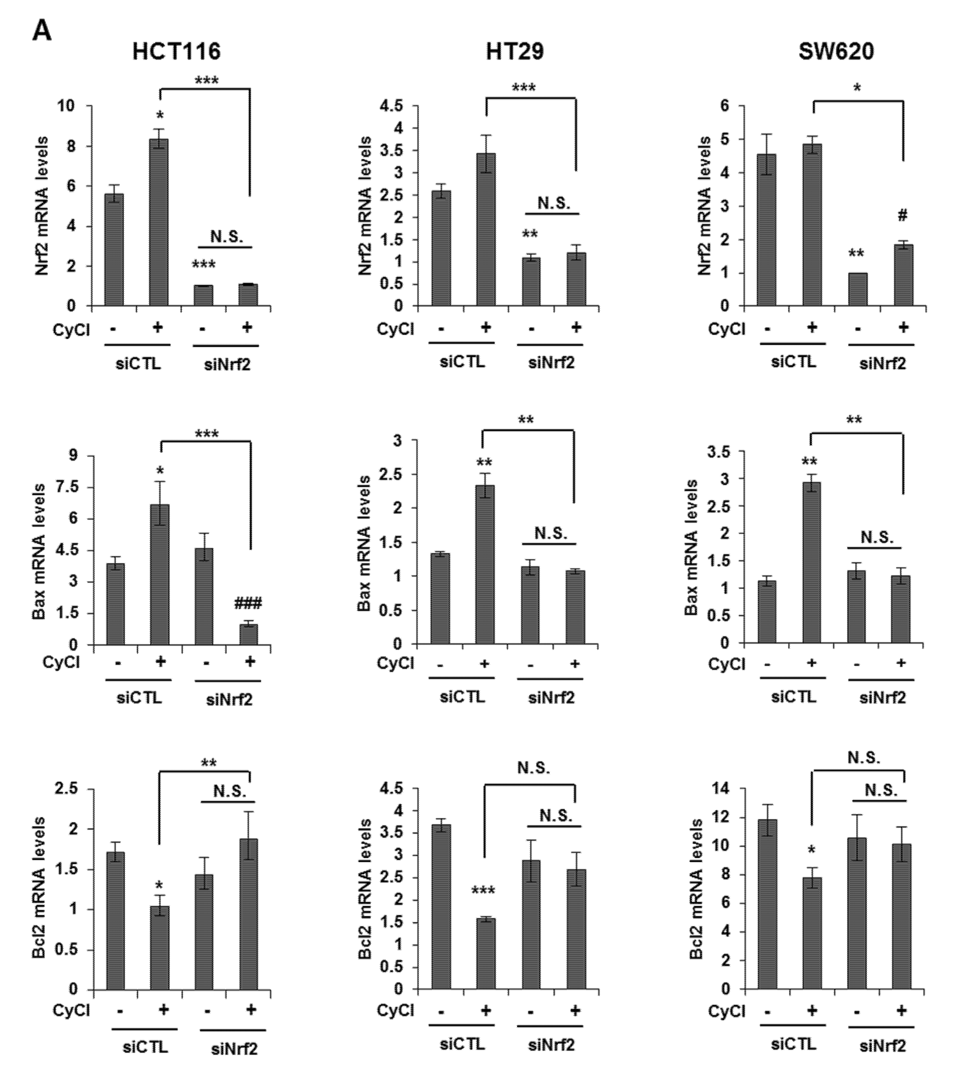 Antioxidants 09 00285 g006a