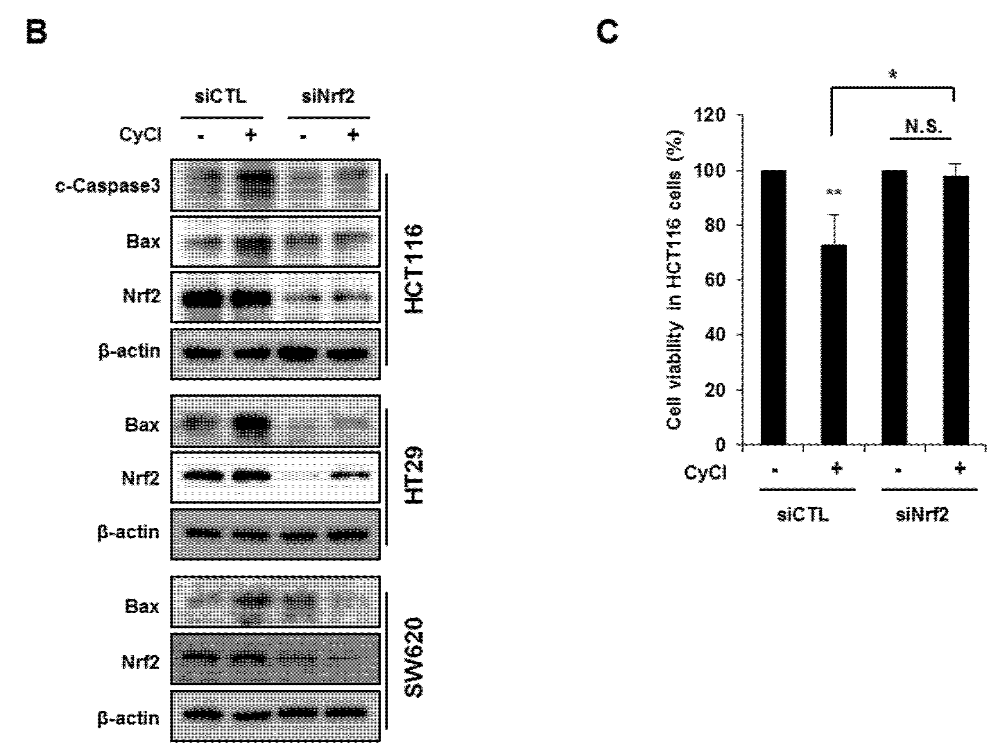 Antioxidants 09 00285 g006b