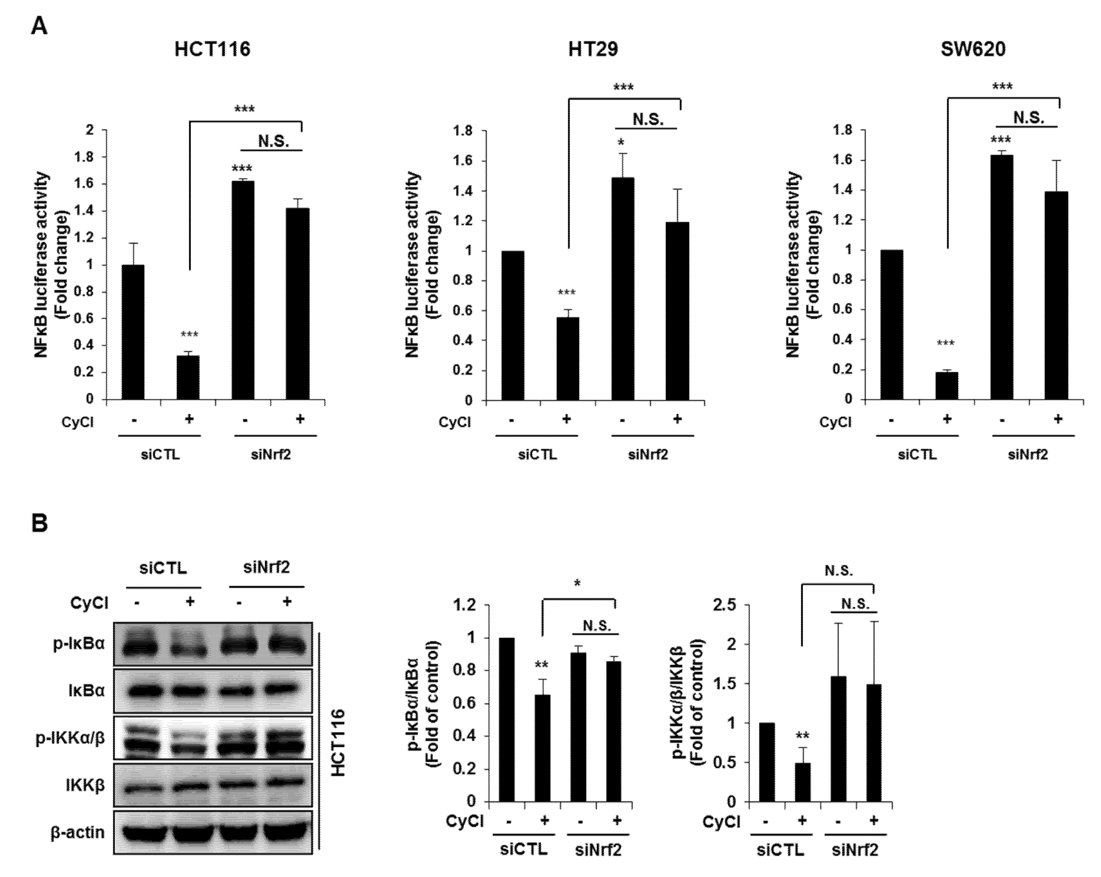 Antioxidants 09 00285 g007