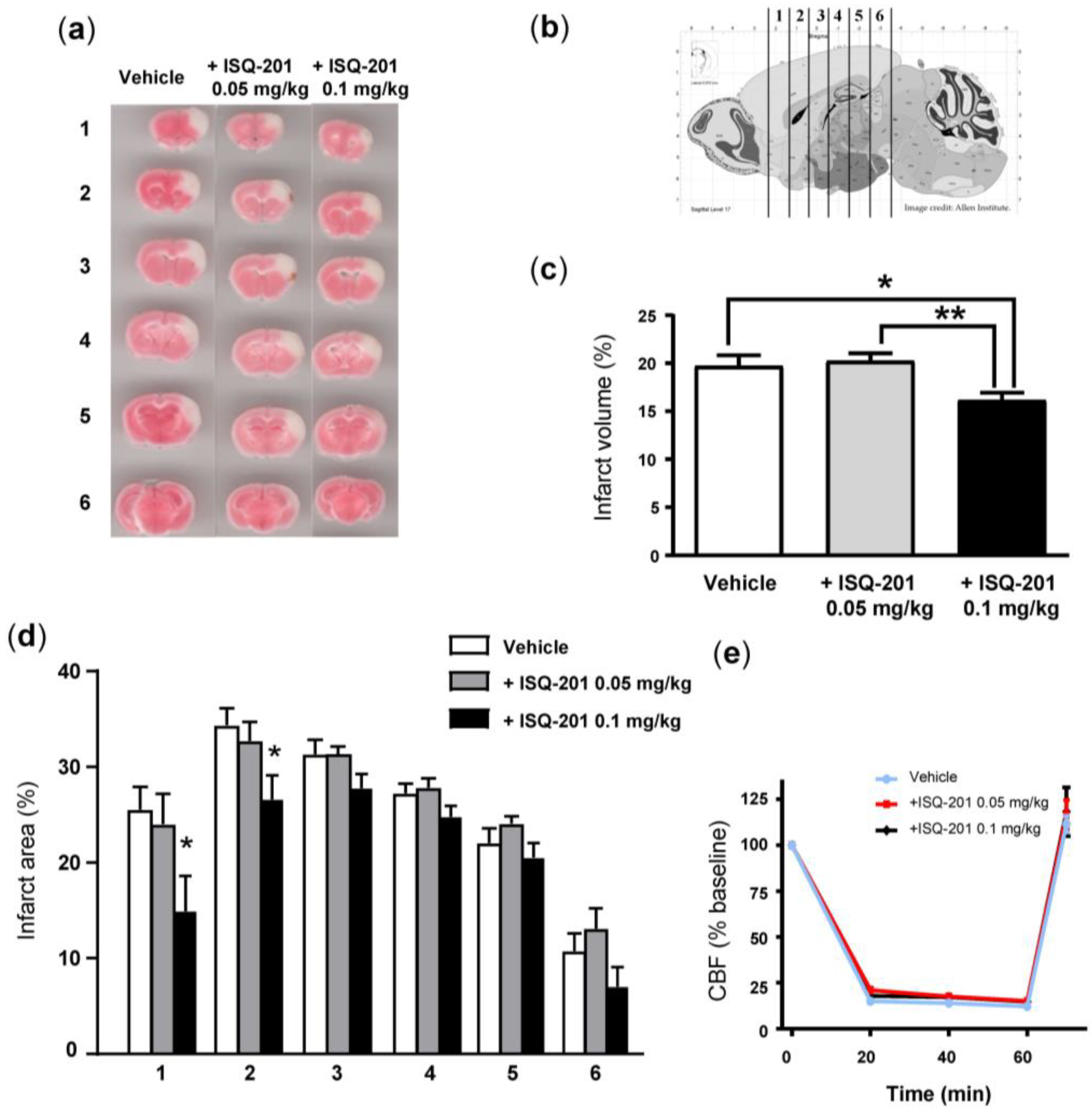 Antioxidants 09 00291 g008
