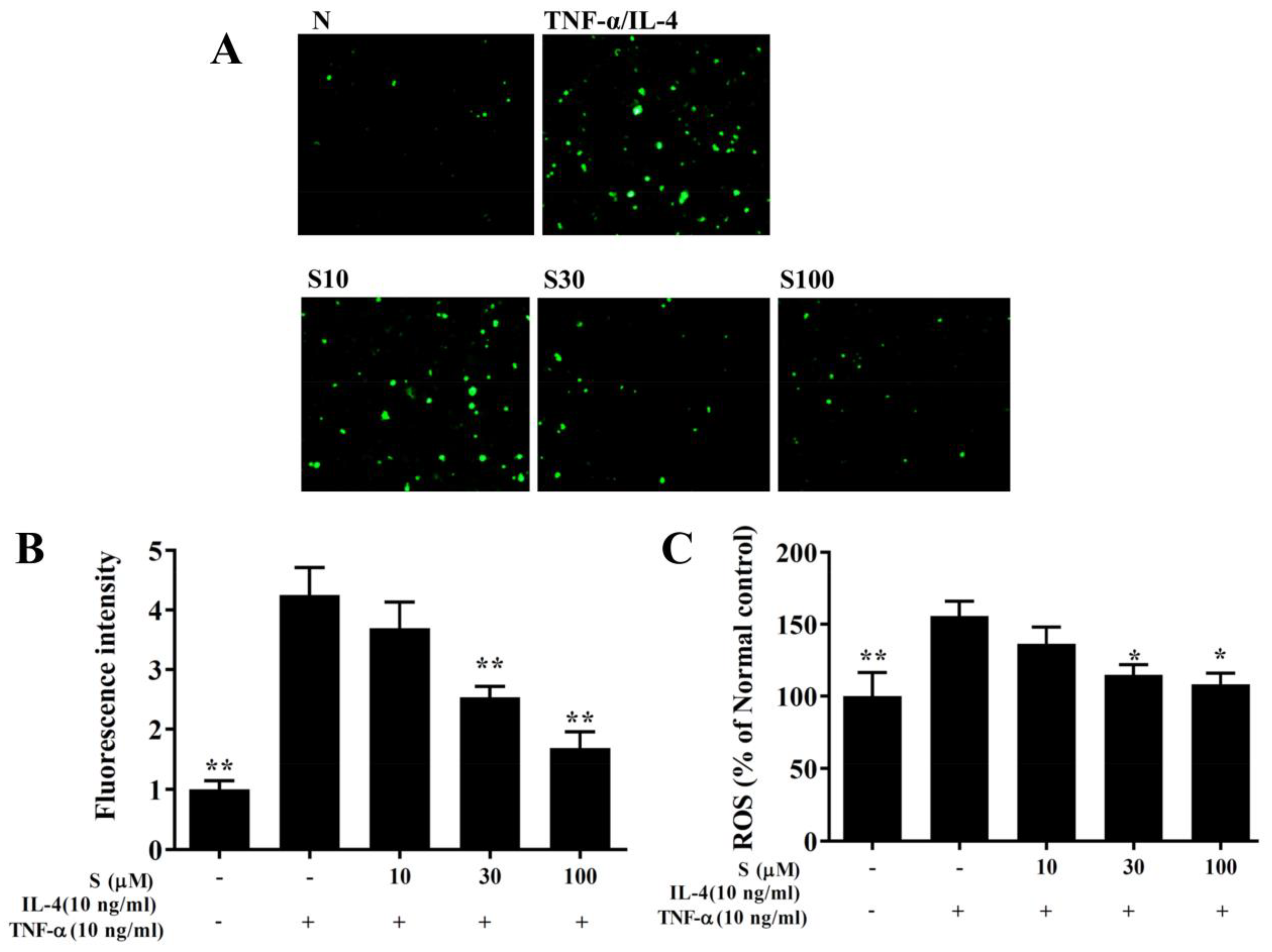 Antioxidants 09 00295 g009