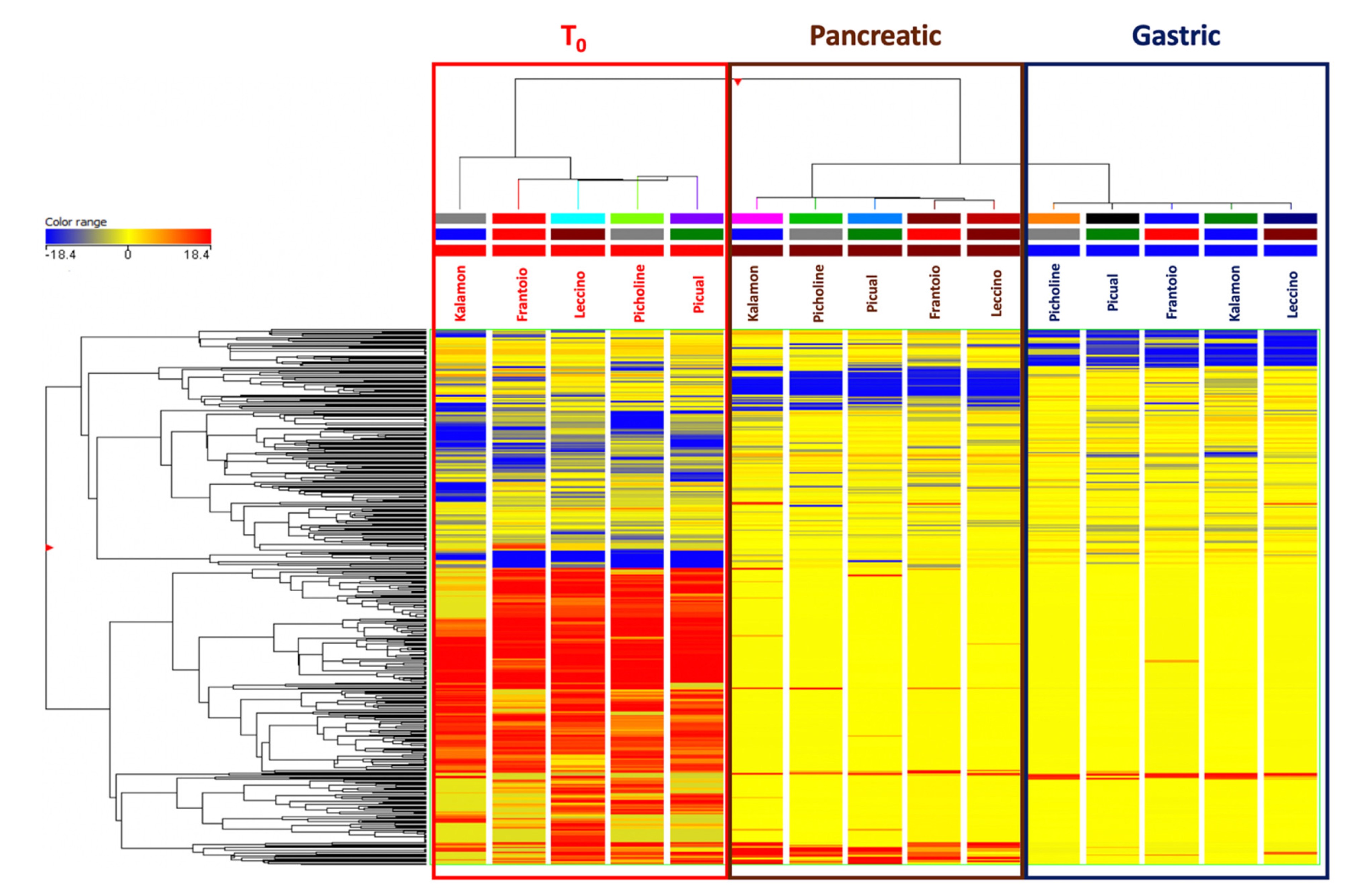 Antioxidants 09 00302 g001