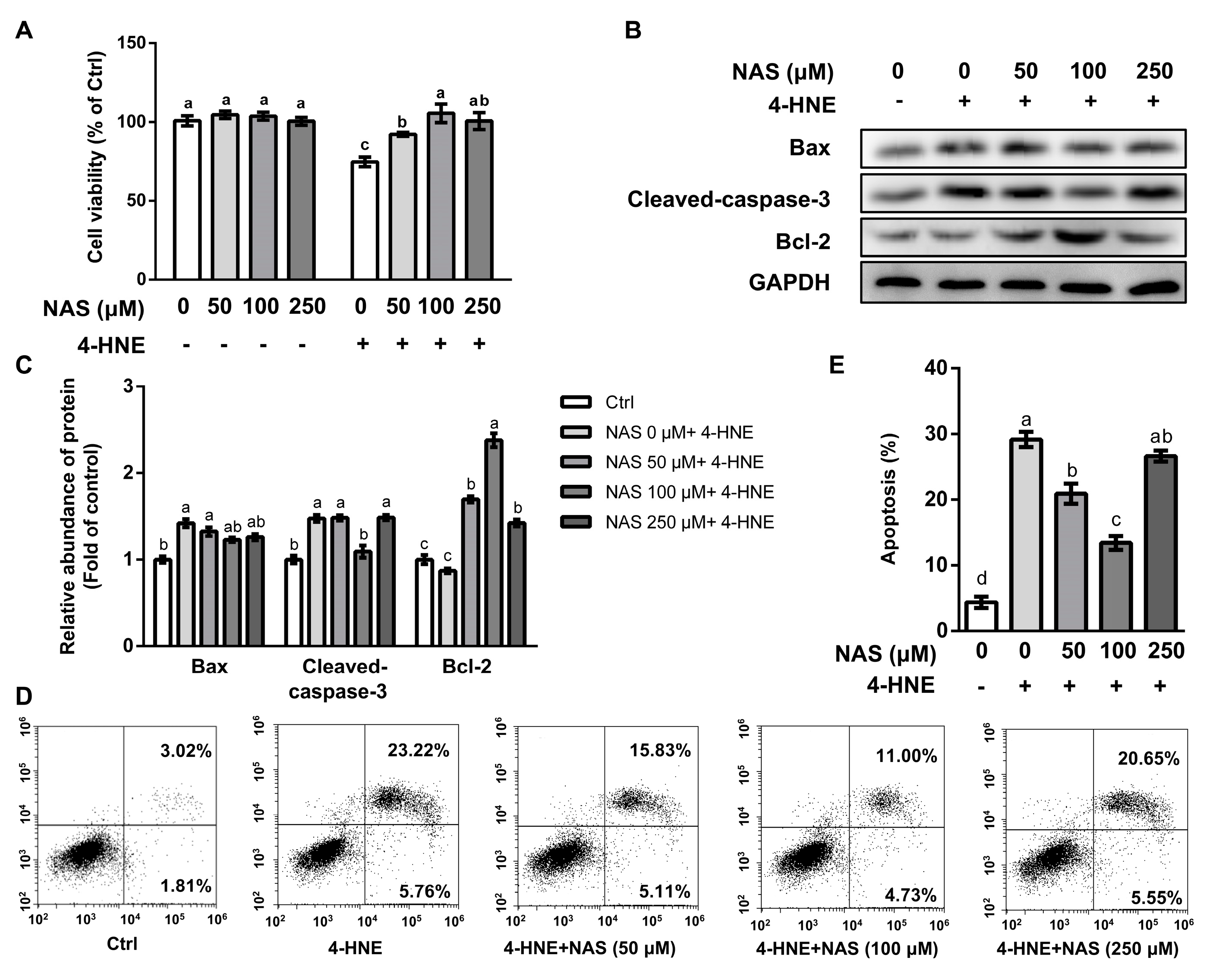 Antioxidants 09 00303 g001