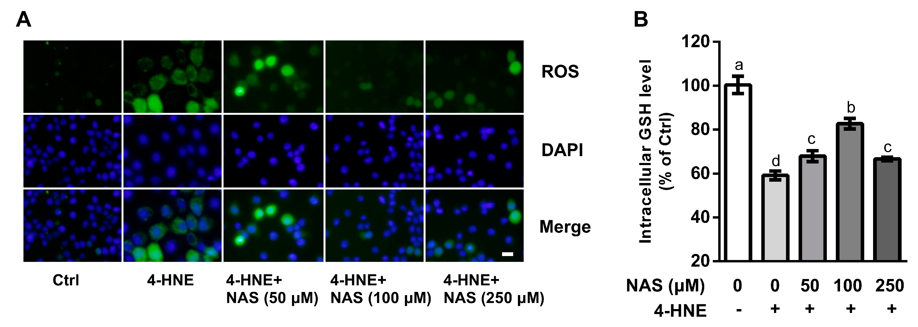 Antioxidants 09 00303 g002