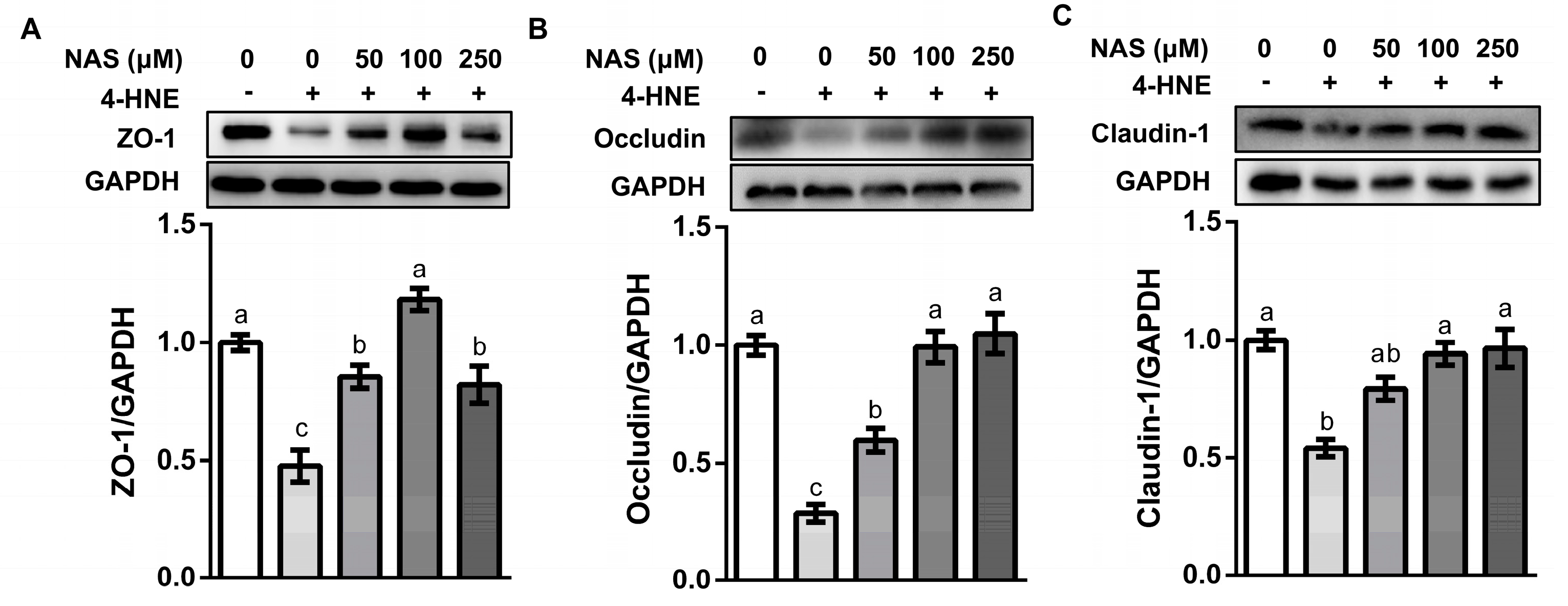 Antioxidants 09 00303 g003