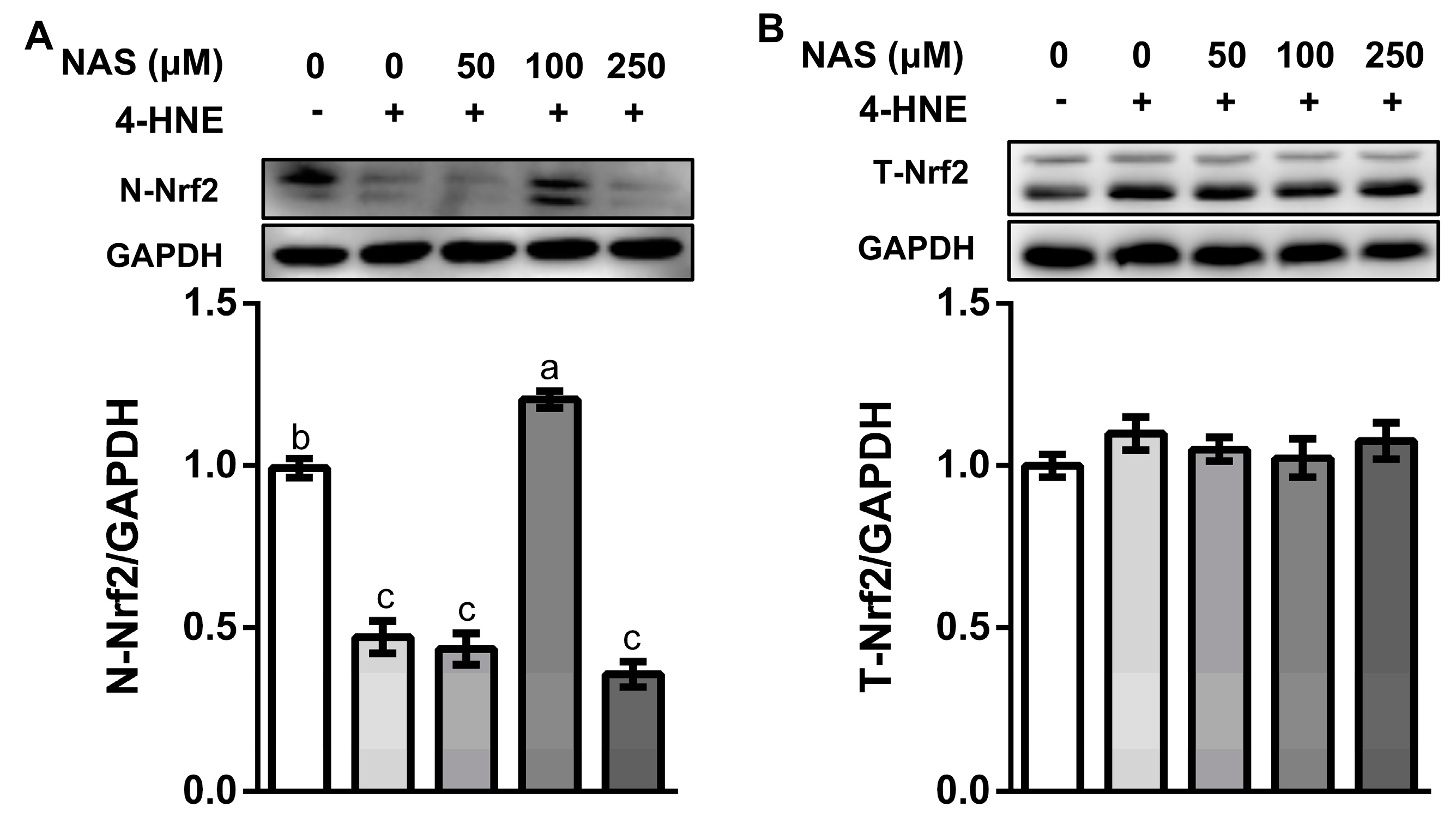 Antioxidants 09 00303 g004