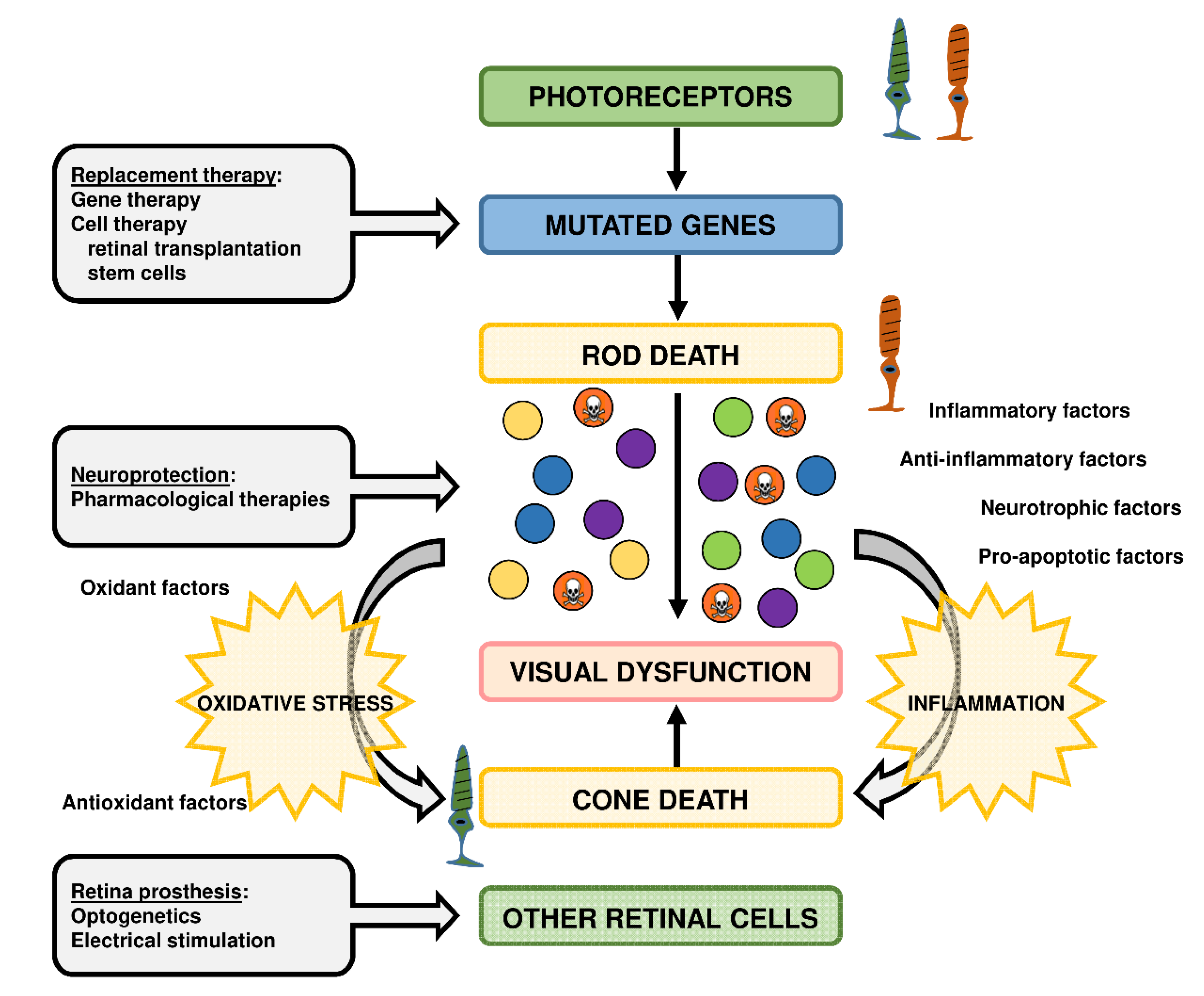 Antioxidants 09 00313 g004