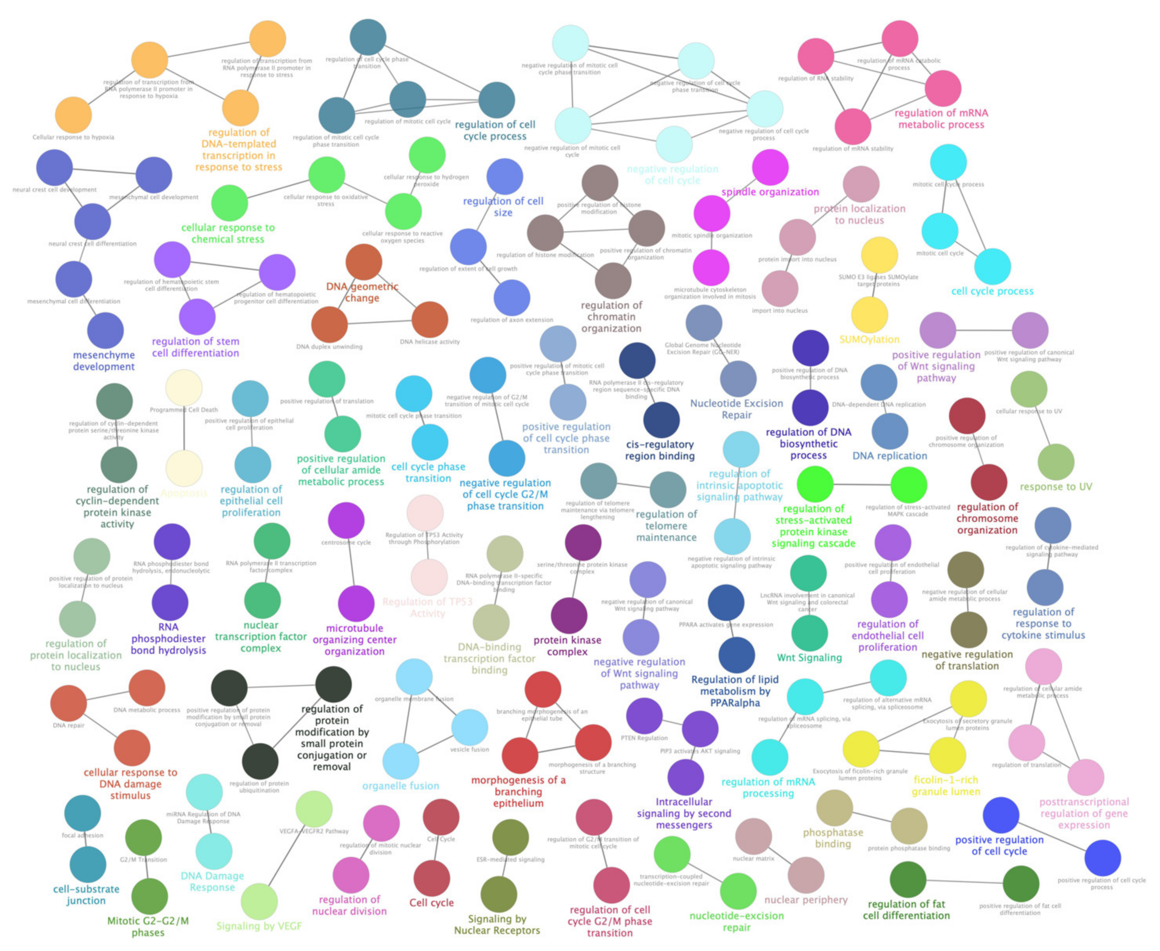 Antioxidants 09 00318 g005