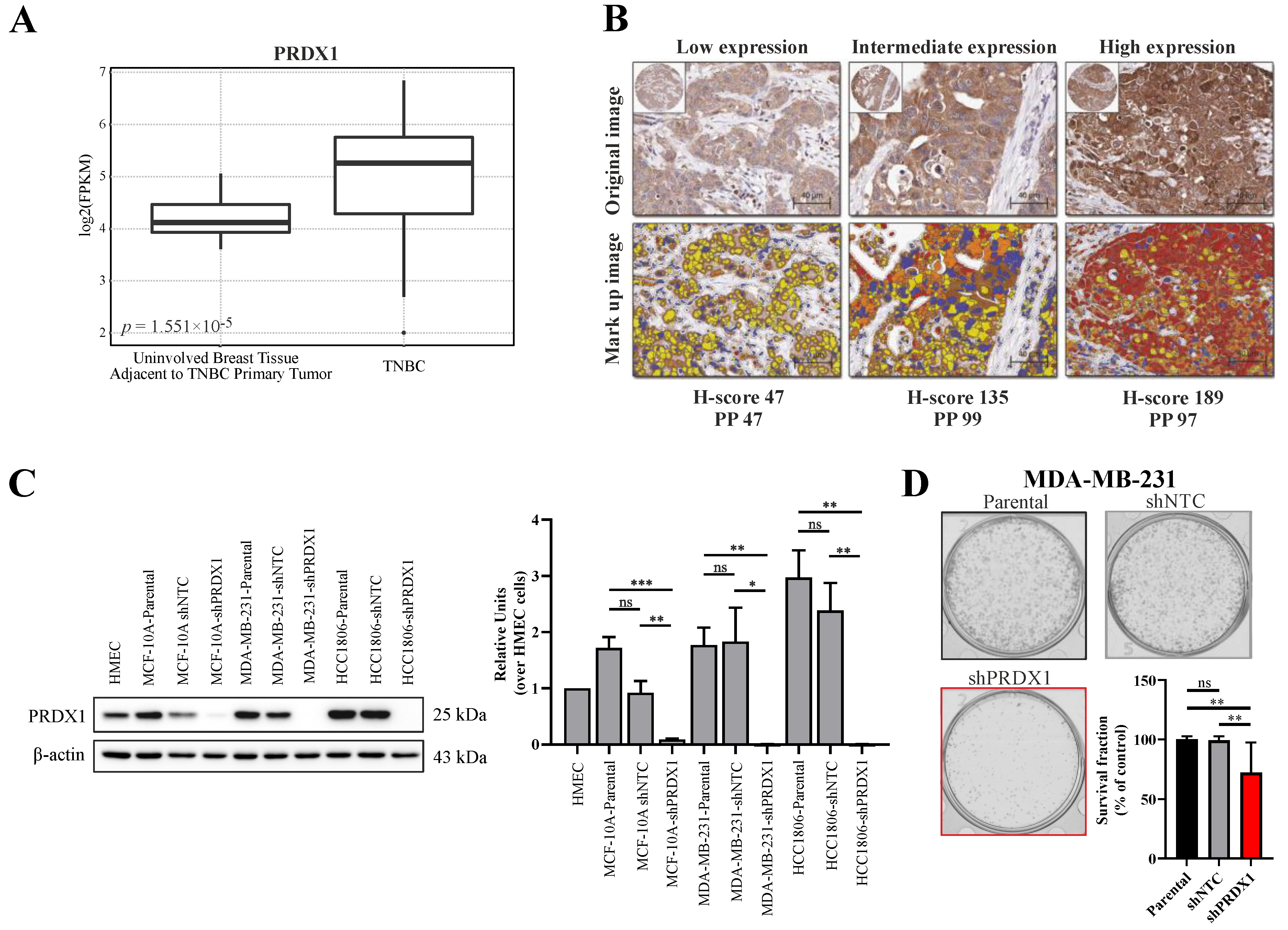 Antioxidants 09 00320 g001