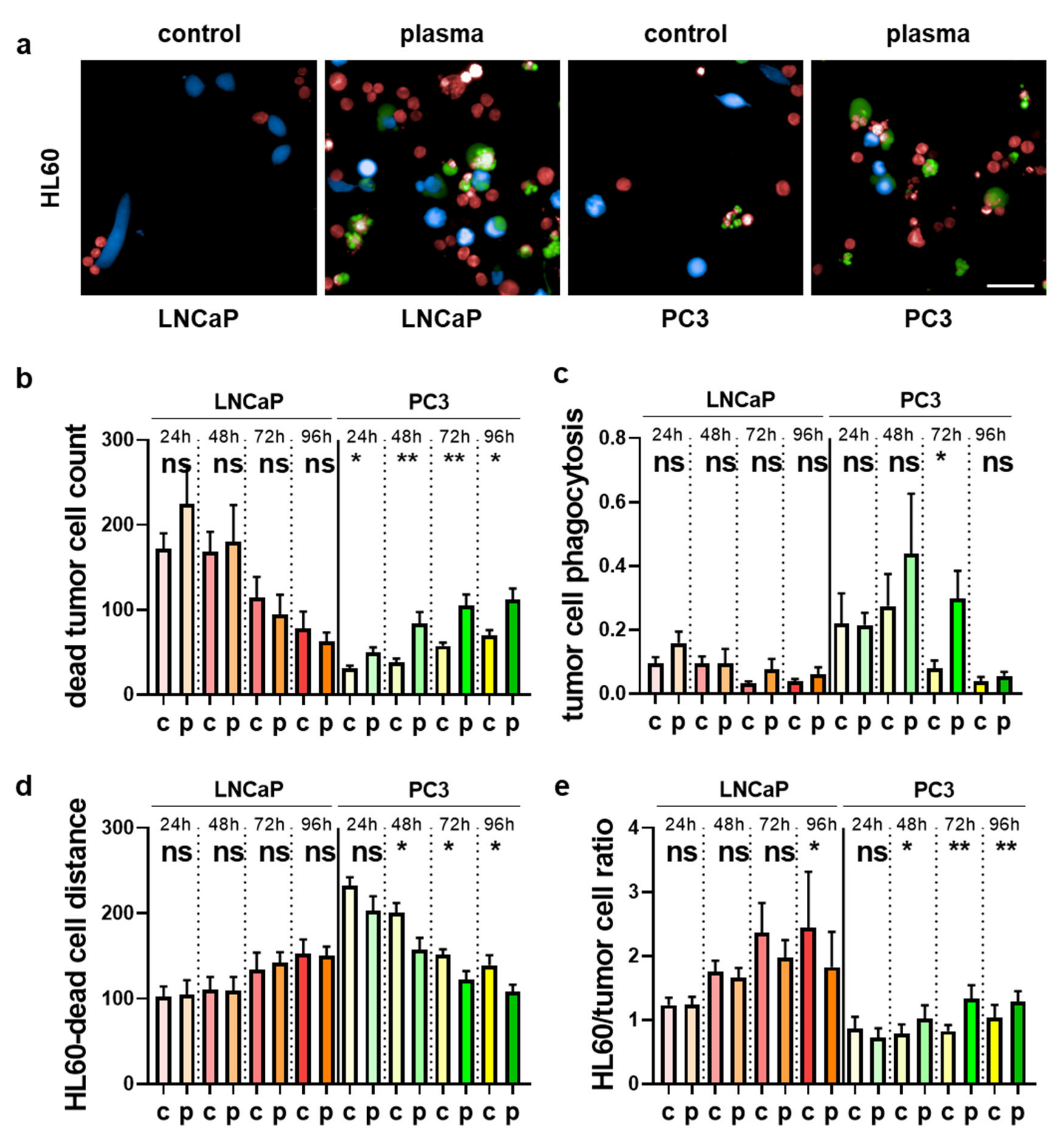 Antioxidants 09 00323 g008