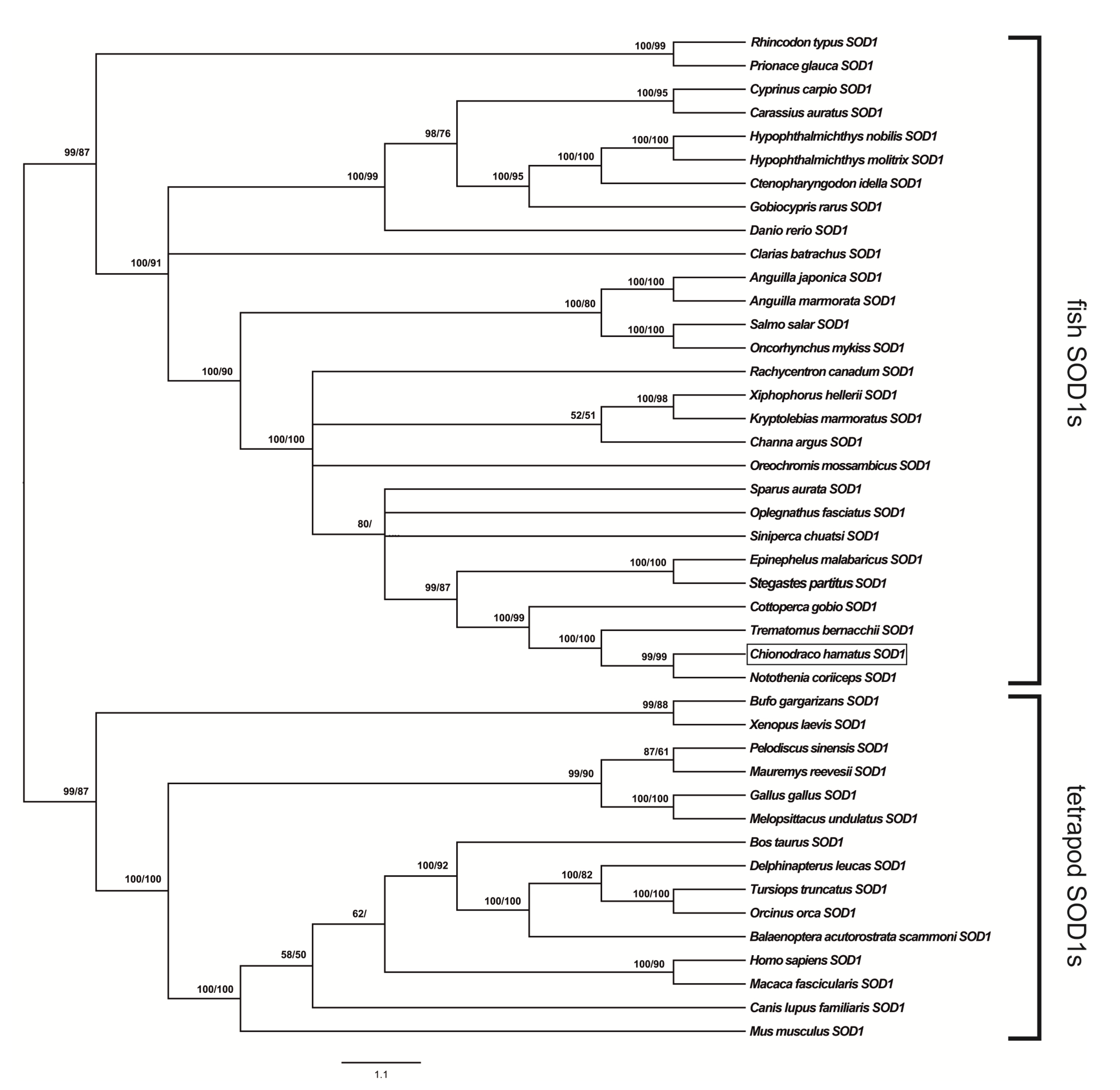 Antioxidants 09 00325 g001