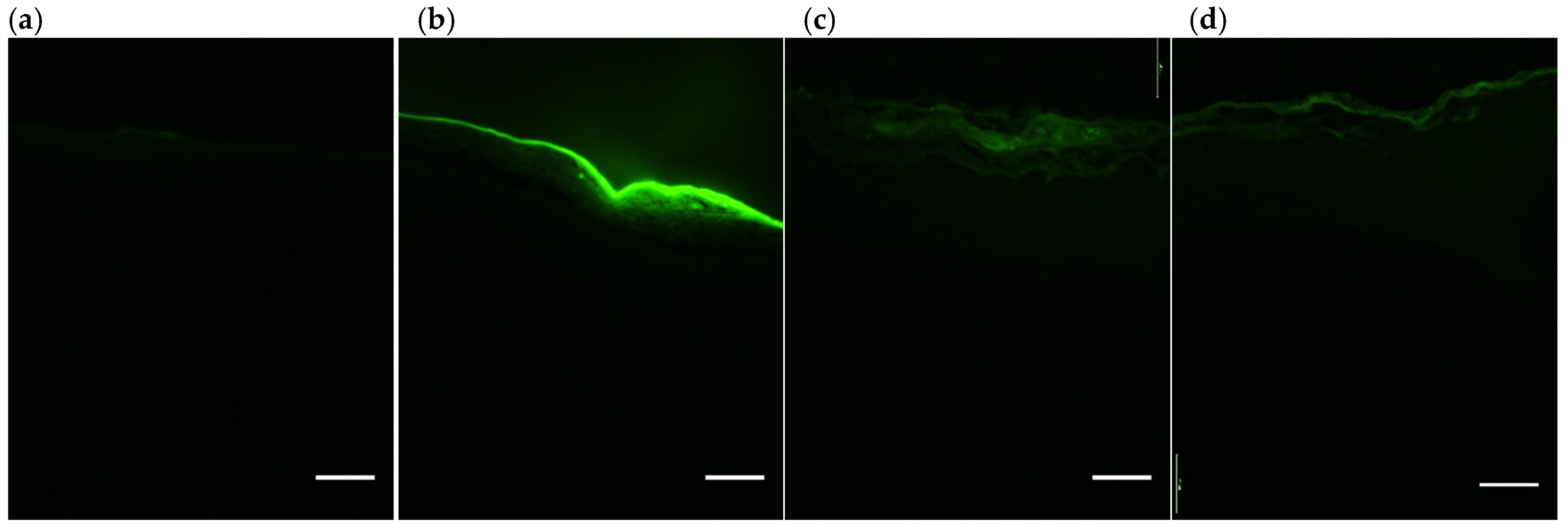 Antioxidants 09 00328 g006