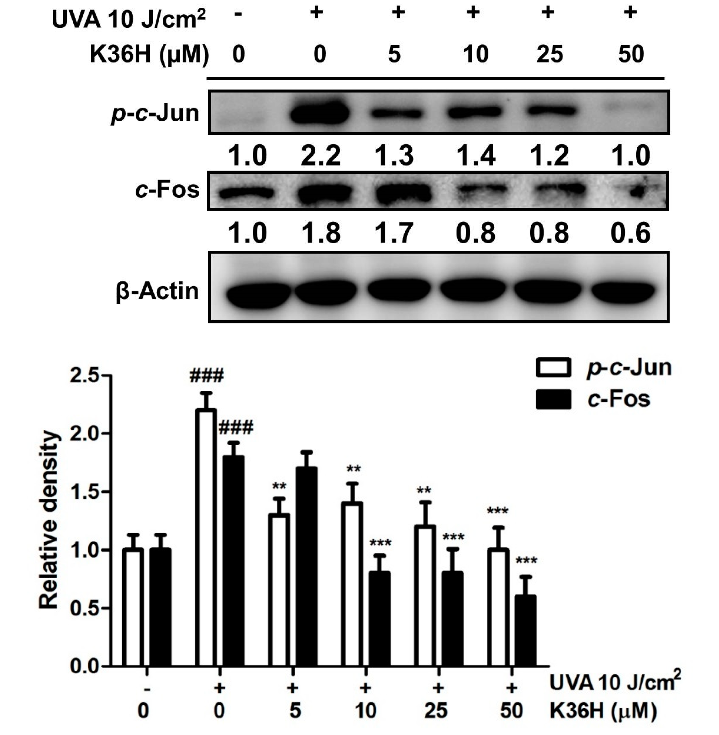 Antioxidants 09 00335 g005 Antioxidants 09 00335 g005