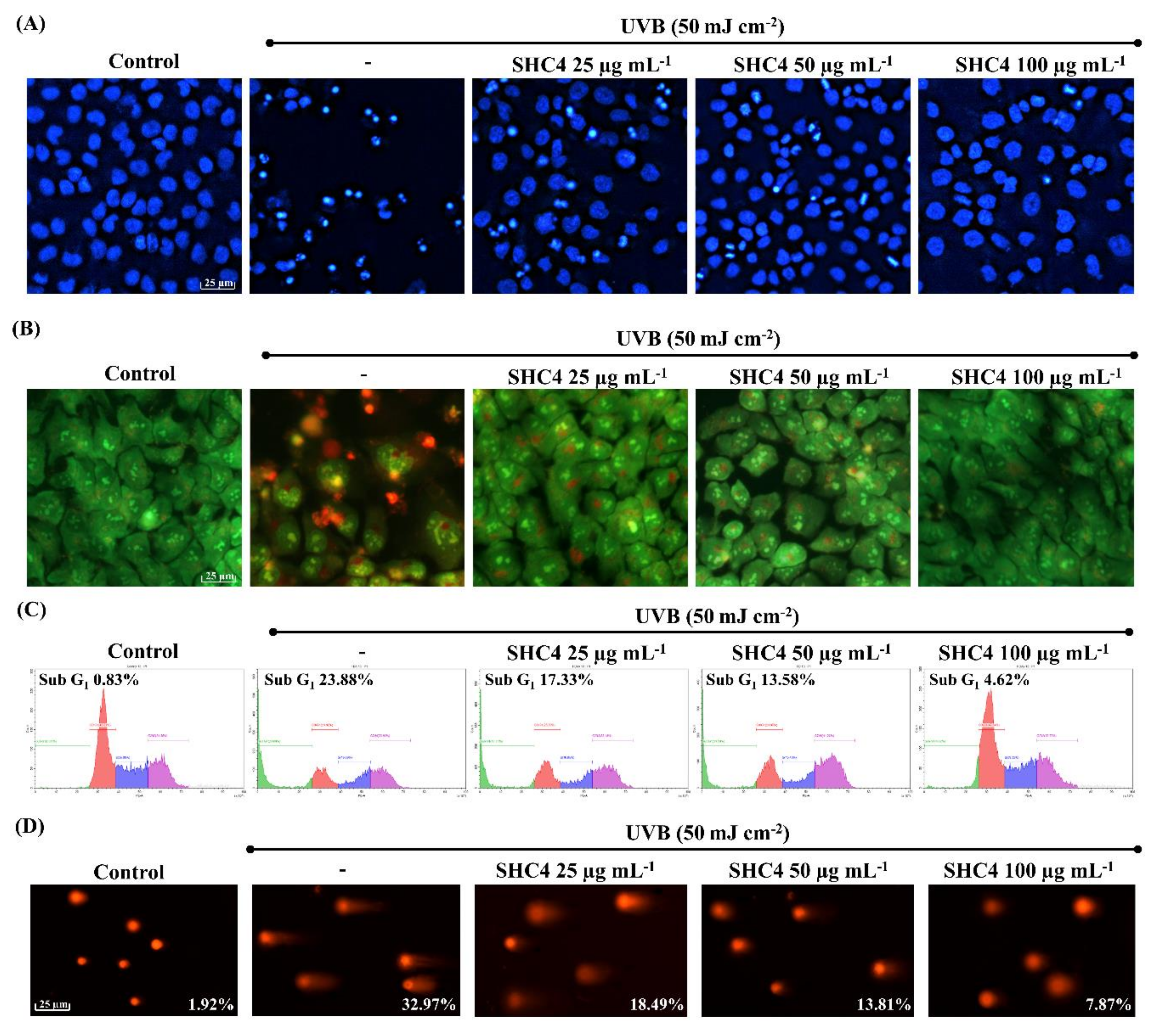 Antioxidants 09 00340 g005