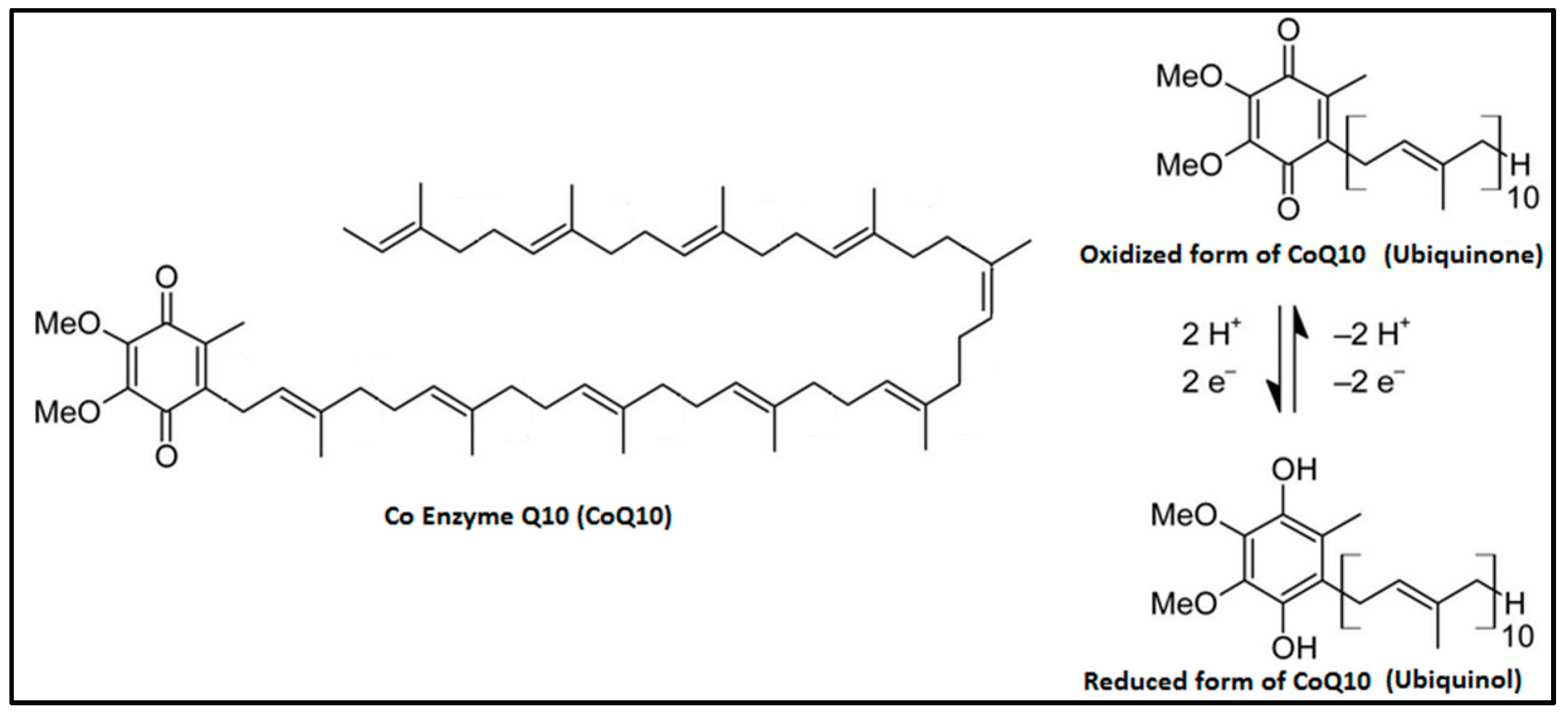 Antioxidants 09 00341 g001 Antioxidants 09 00341 g001