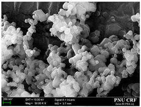 Antioxidants 09 00342 i001