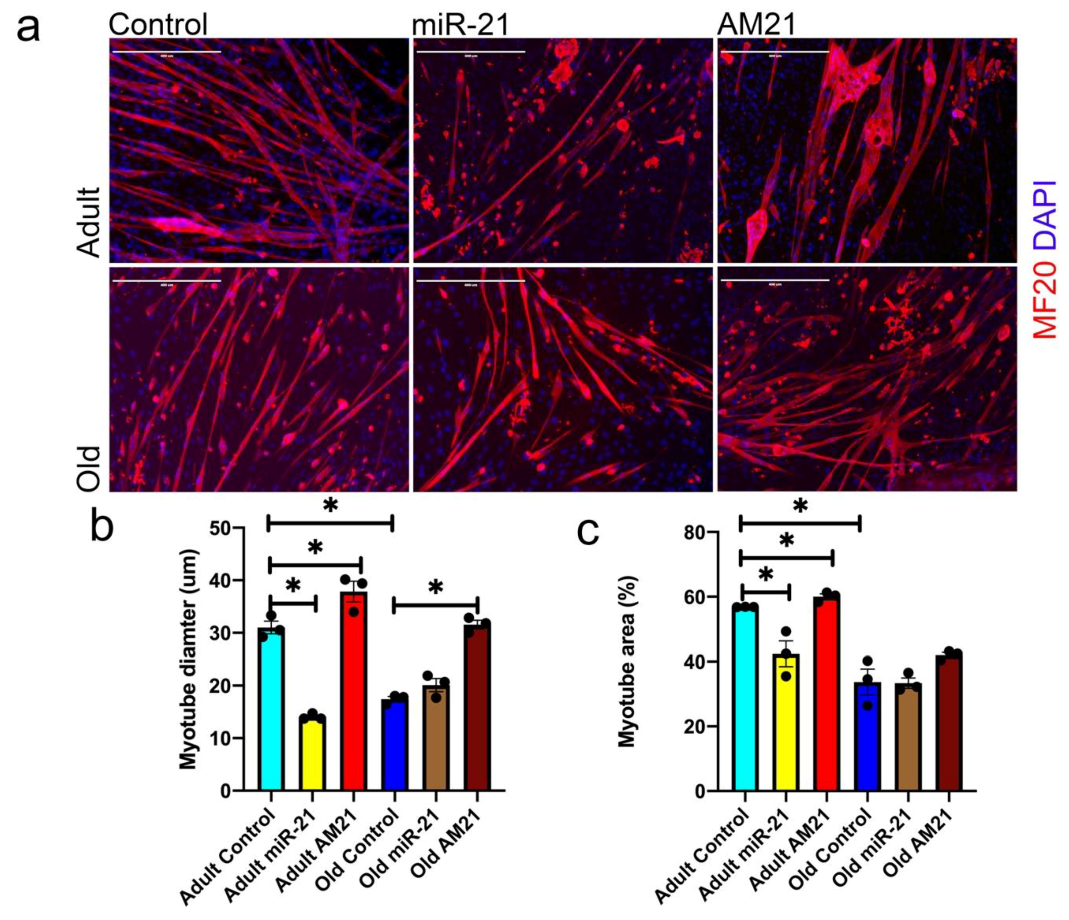 Antioxidants 09 00345 g002
