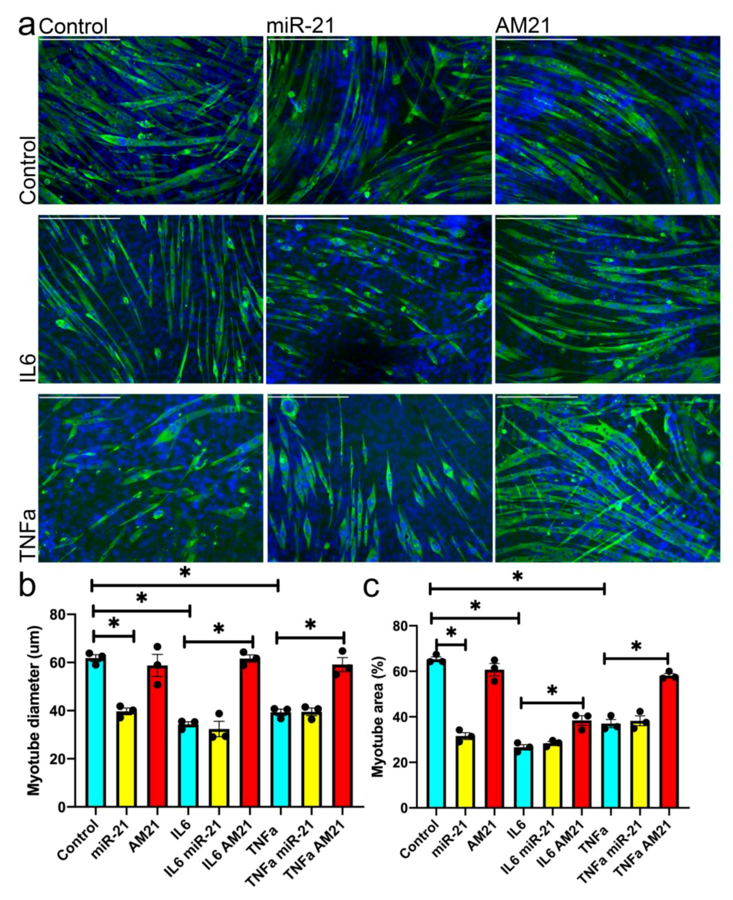 Antioxidants 09 00345 g004