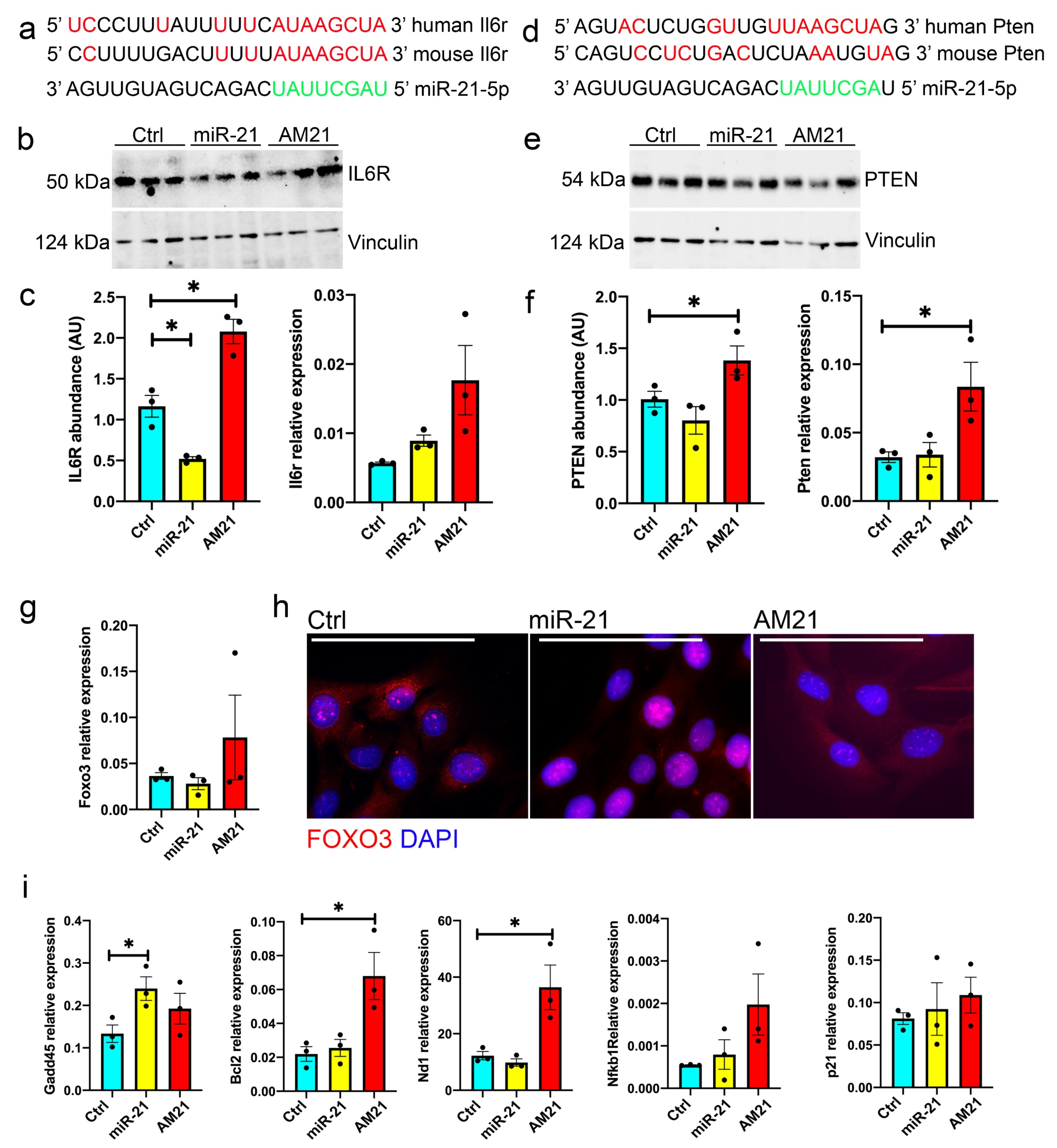 Antioxidants 09 00345 g005