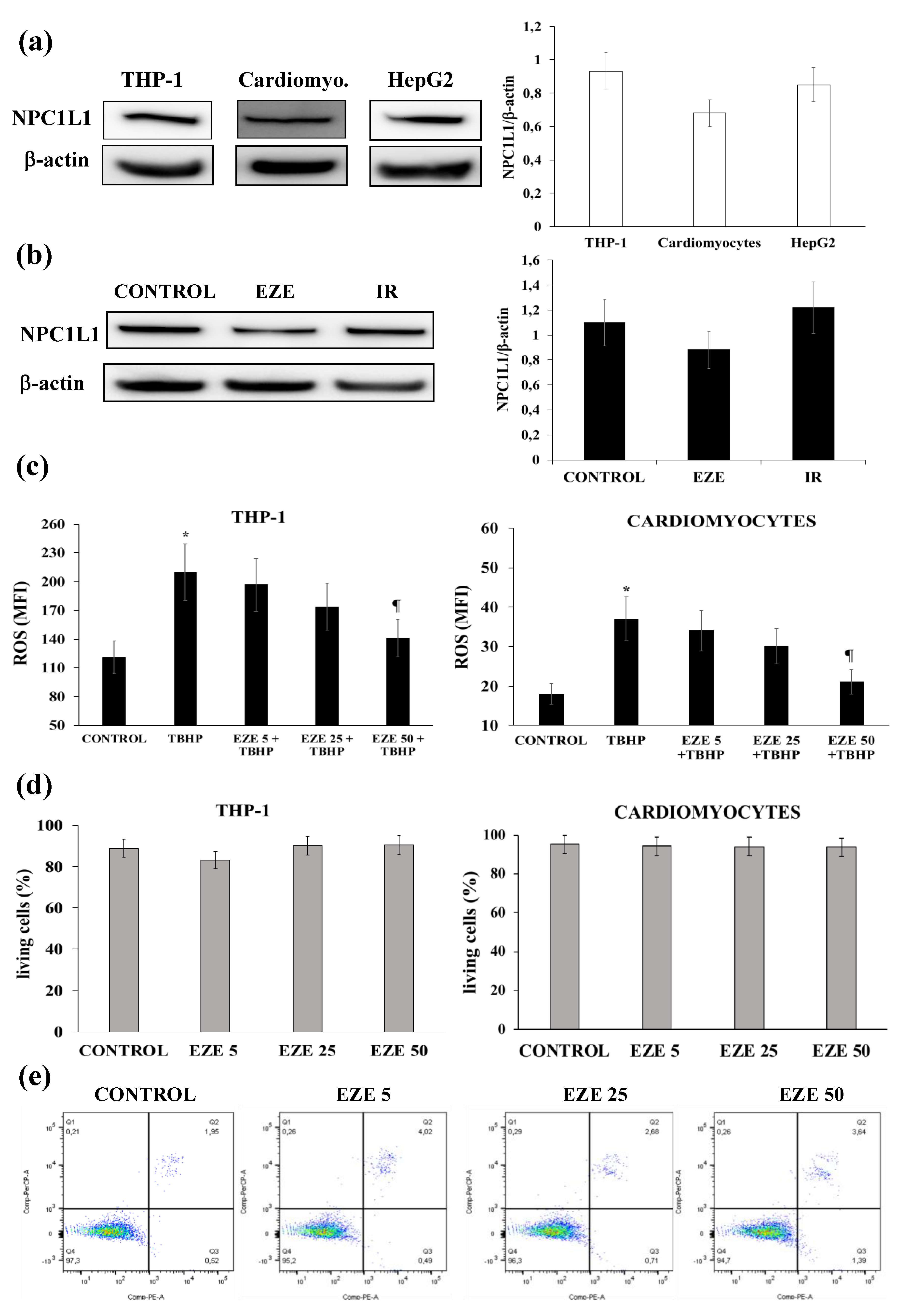 Antioxidants 09 00349 g001