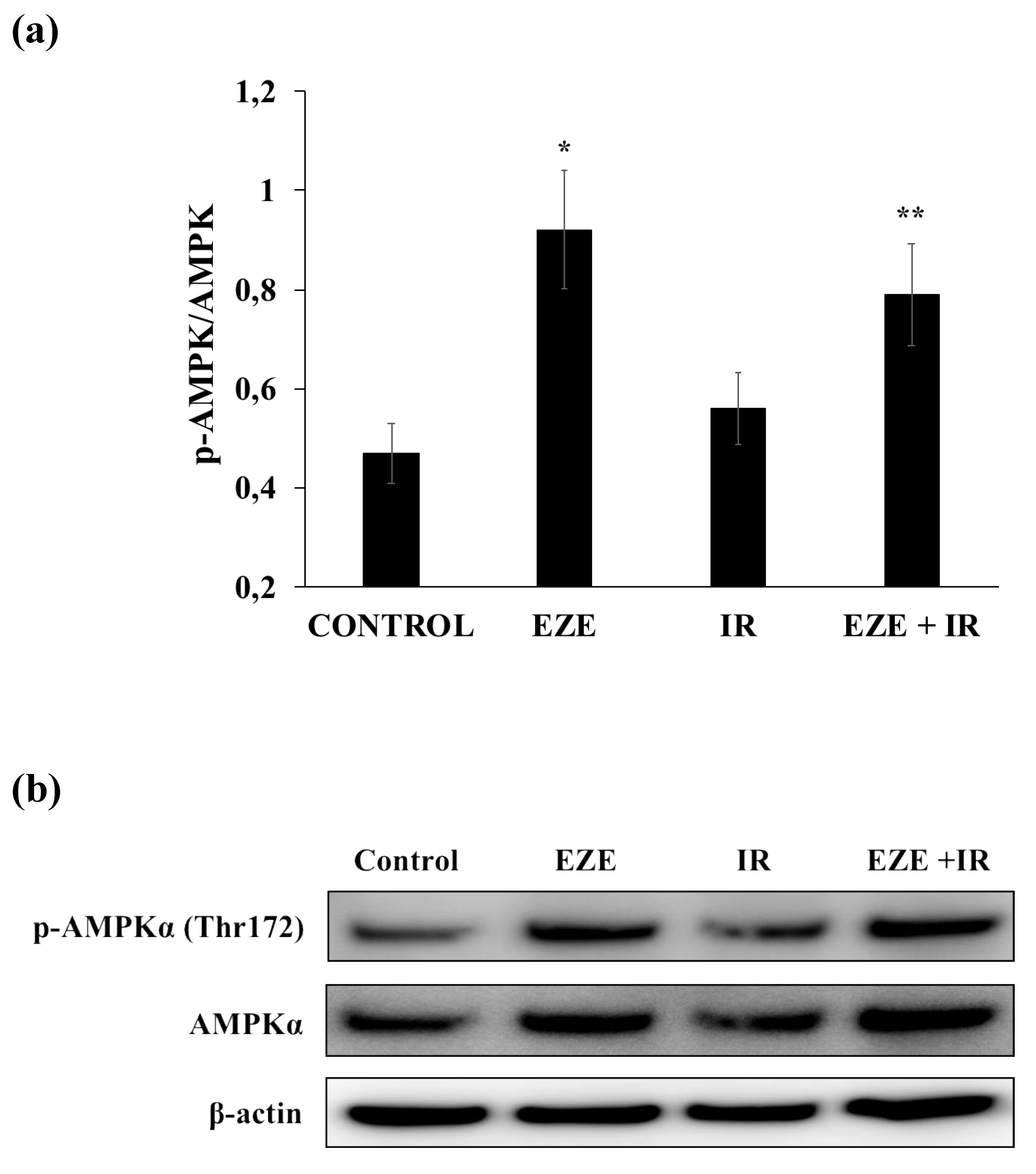 Antioxidants 09 00349 g008