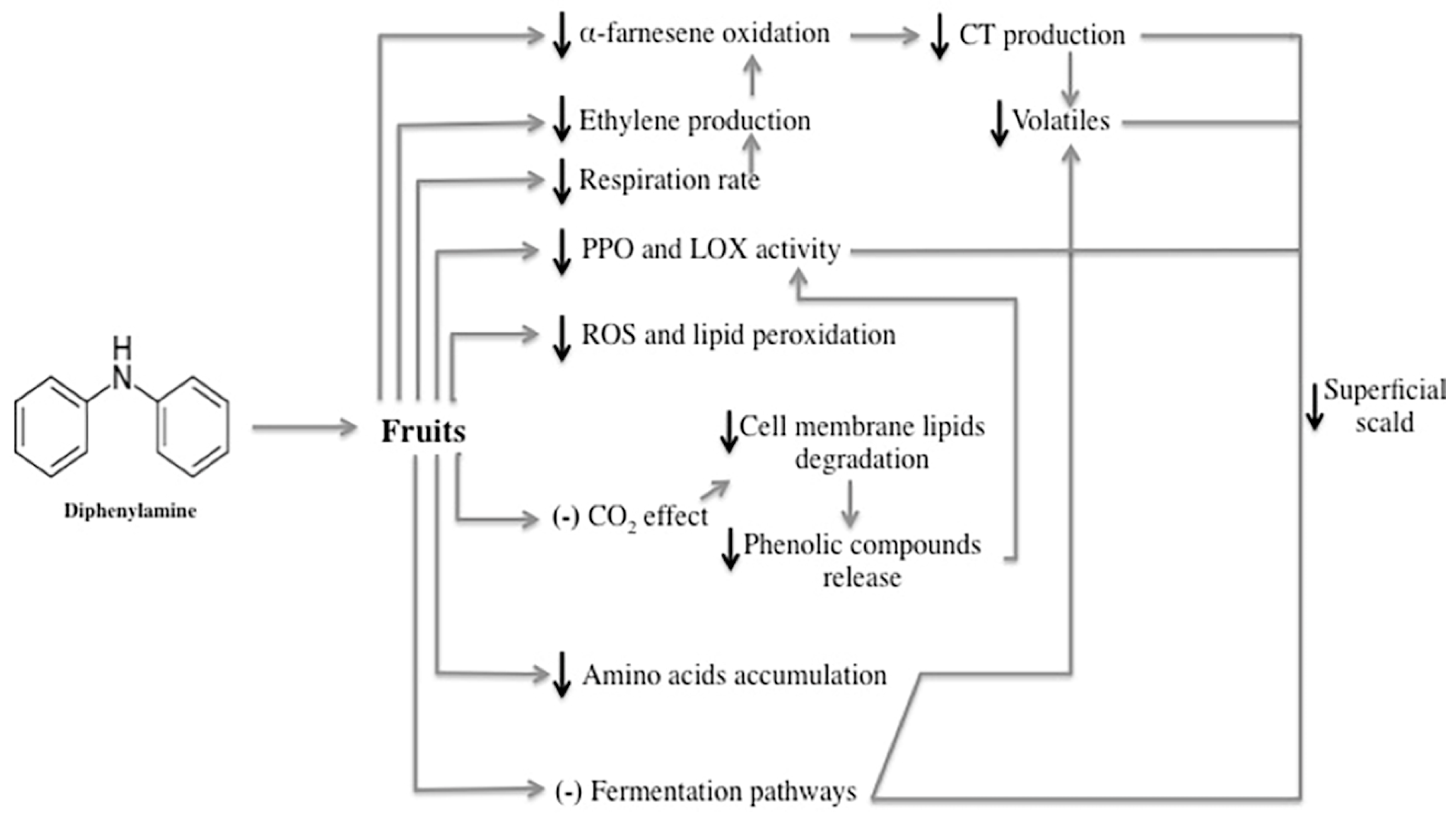 Antioxidants 09 00356 g003