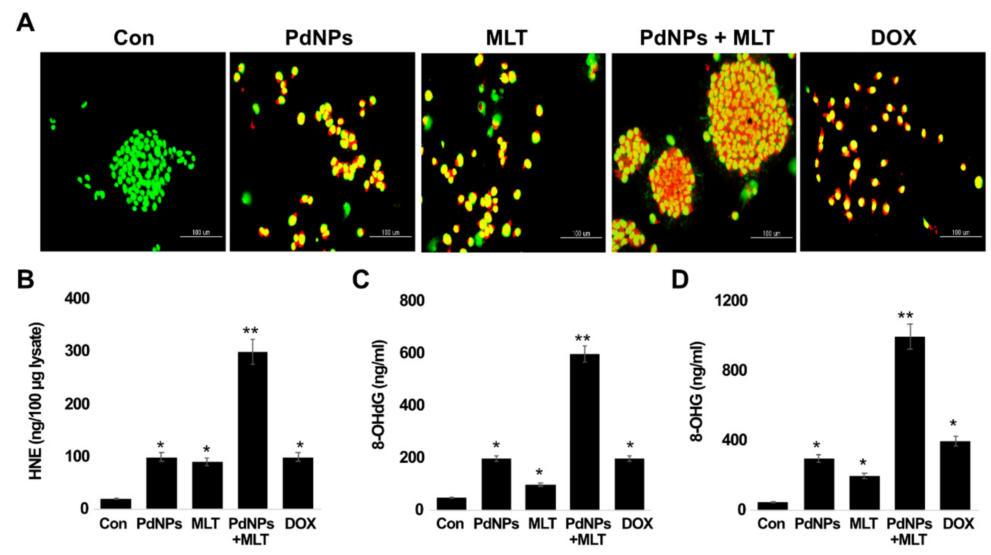 Antioxidants 09 00357 g009