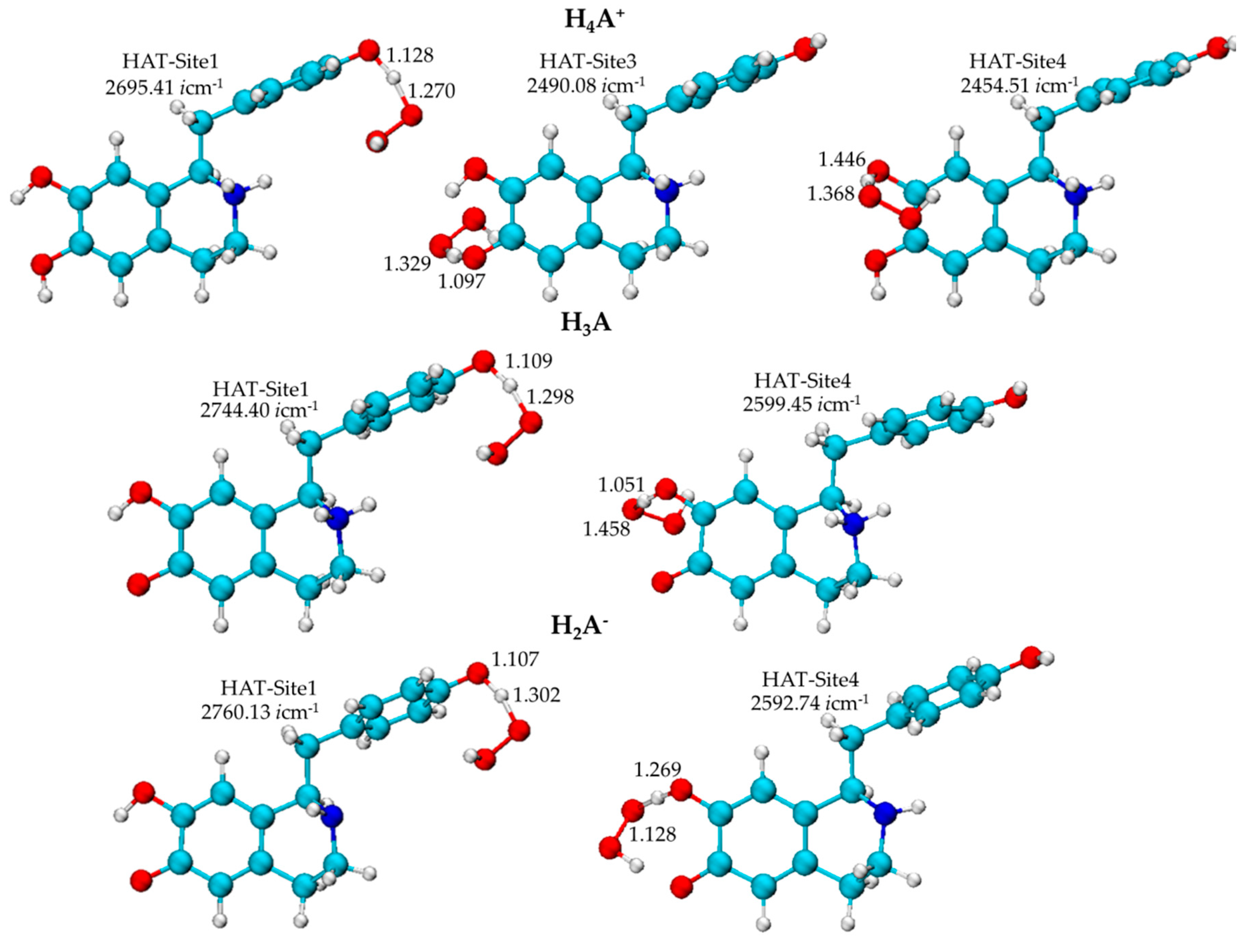 Antioxidants 09 00358 g004