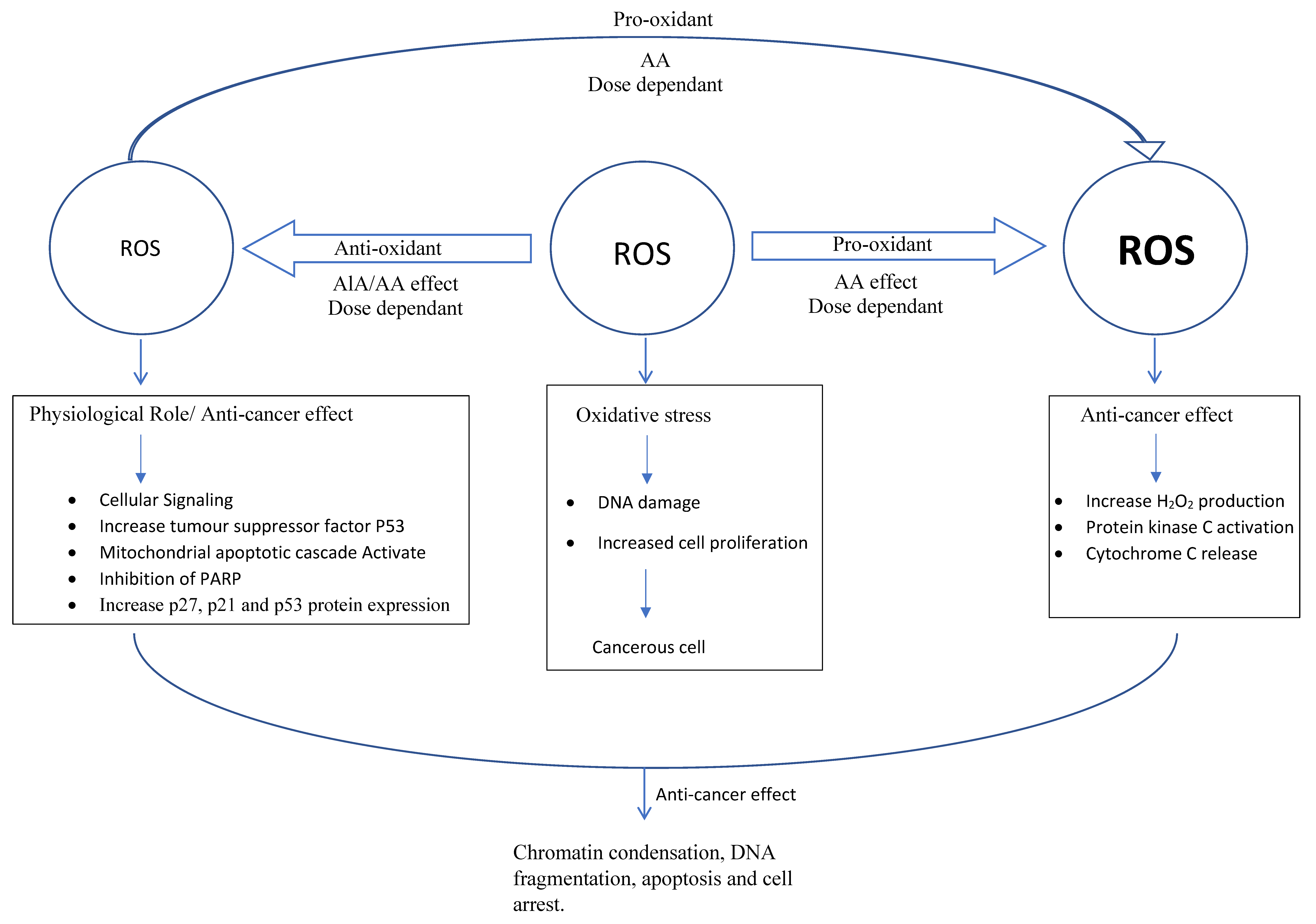 Antioxidants 09 00359 g002