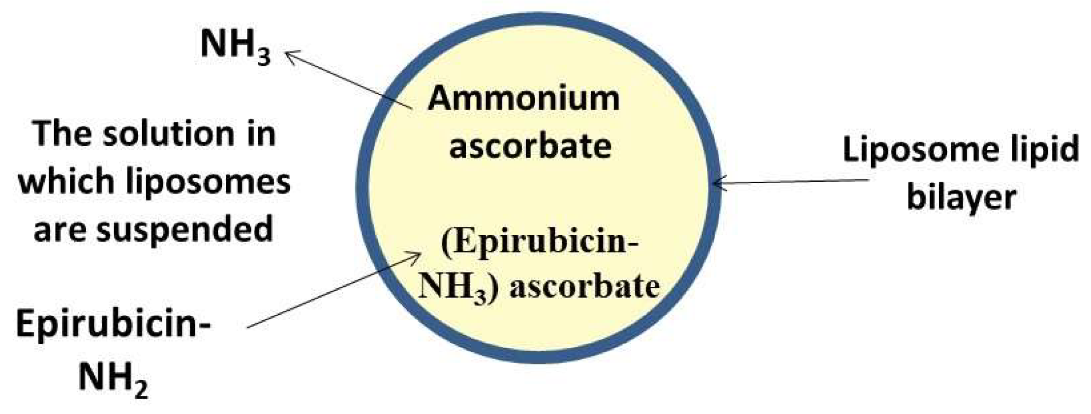 Antioxidants 09 00359 g004