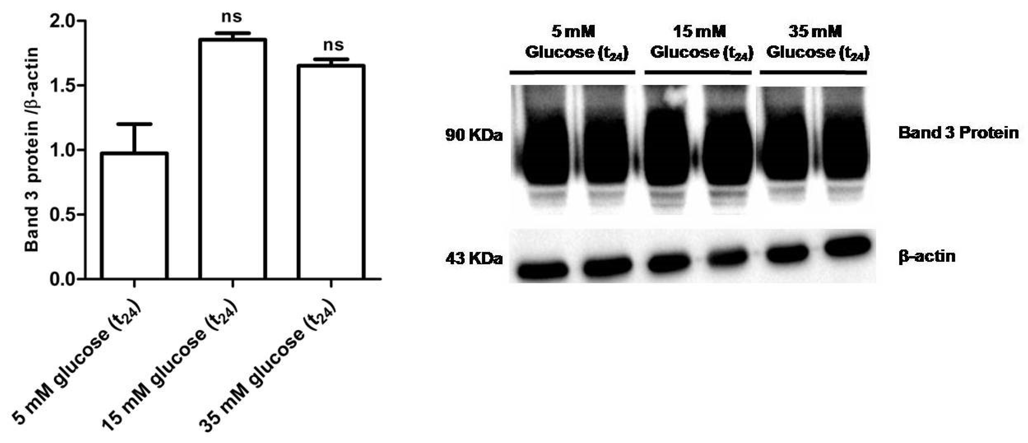 Antioxidants 09 00365 g009