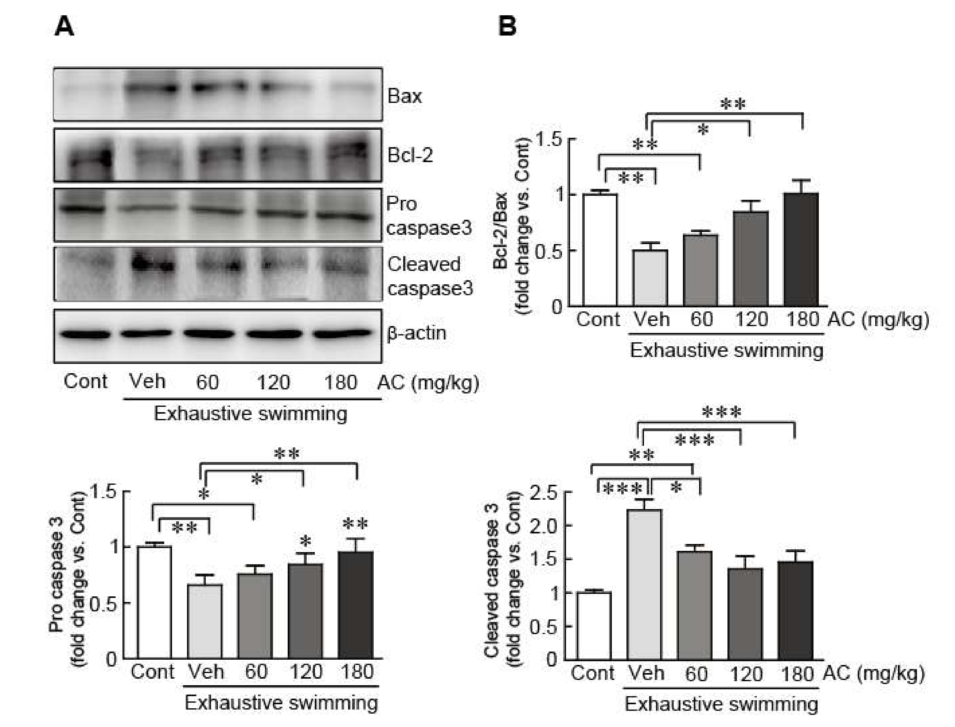 Antioxidants 09 00379 g006
