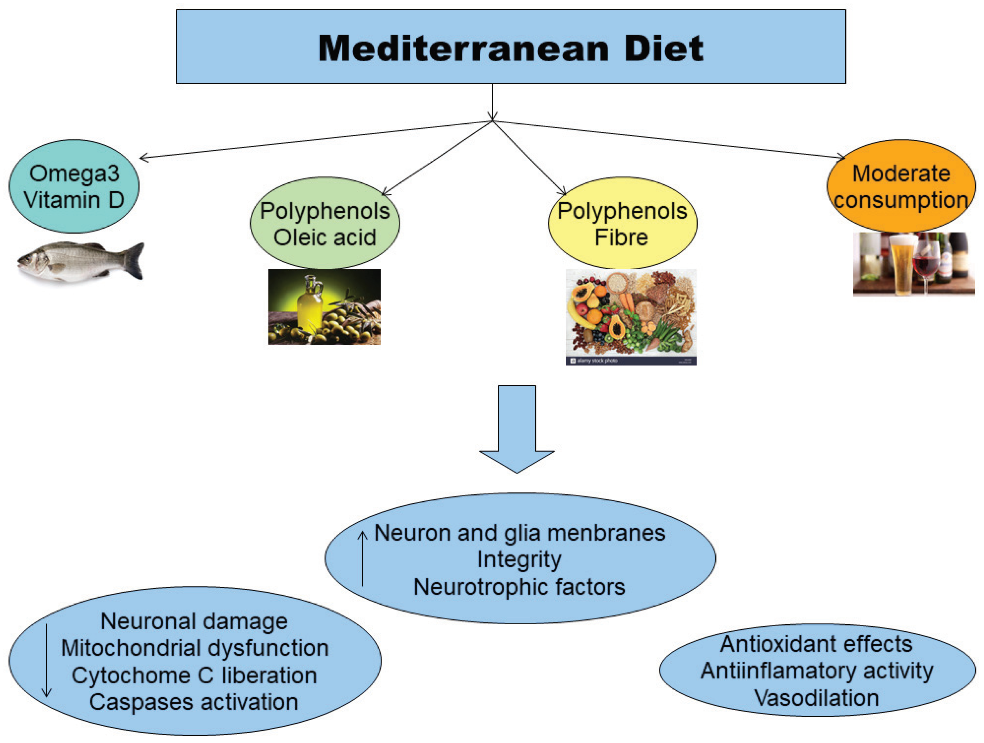 Antioxidants 09 00380 g002 Antioxidants 09 00380 g002
