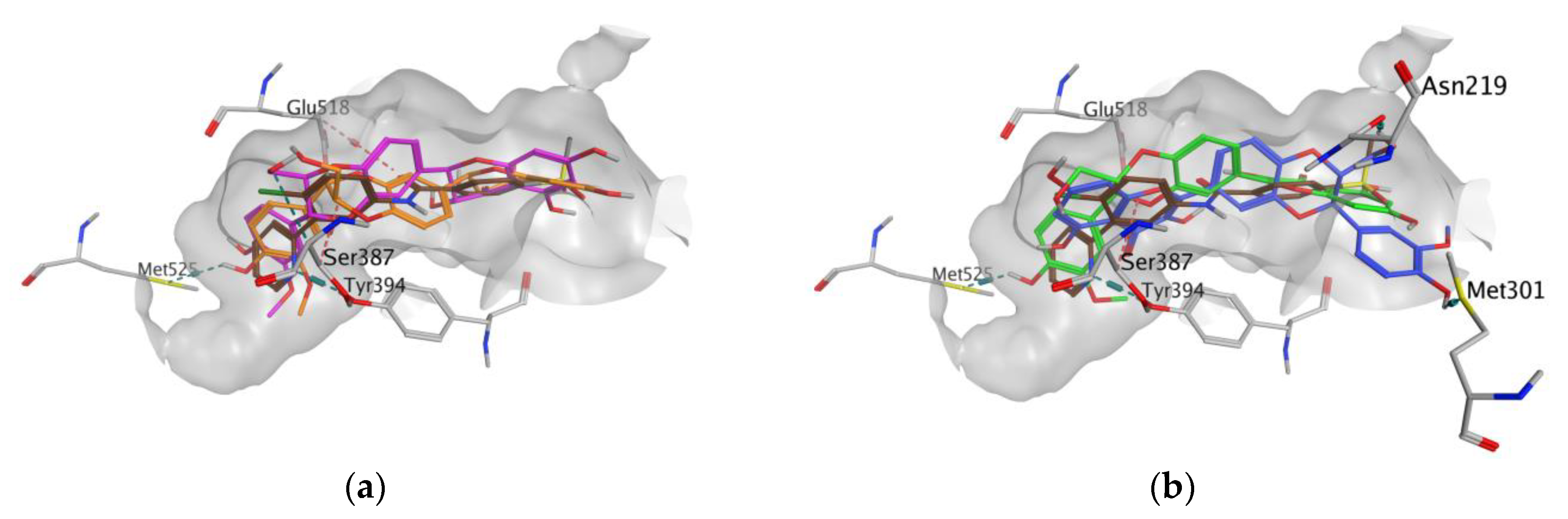 Antioxidants 09 00384 g004