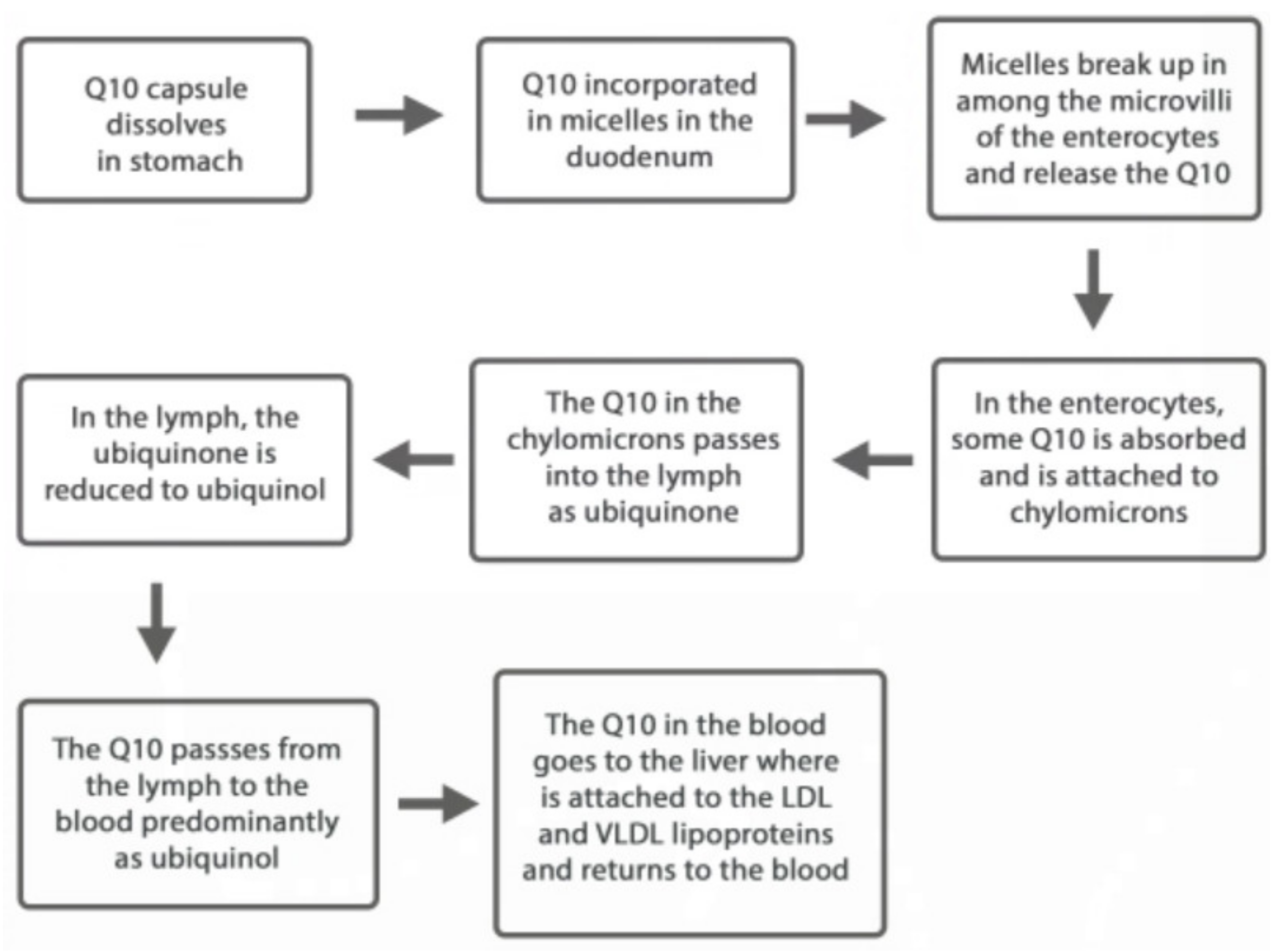 Antioxidants 09 00386 g001
